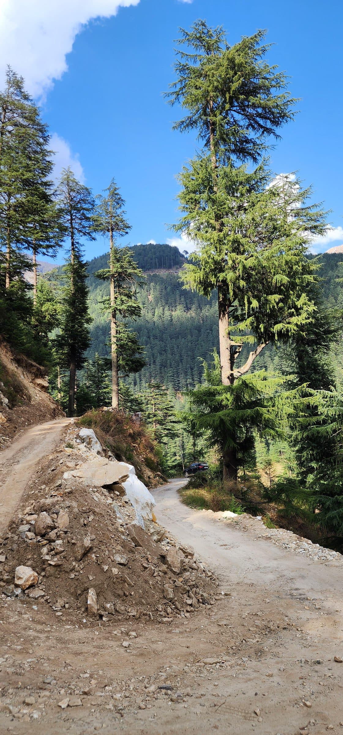 The Quiet Road to Jibhi: Distance, Routes, and Why the Journey Matters