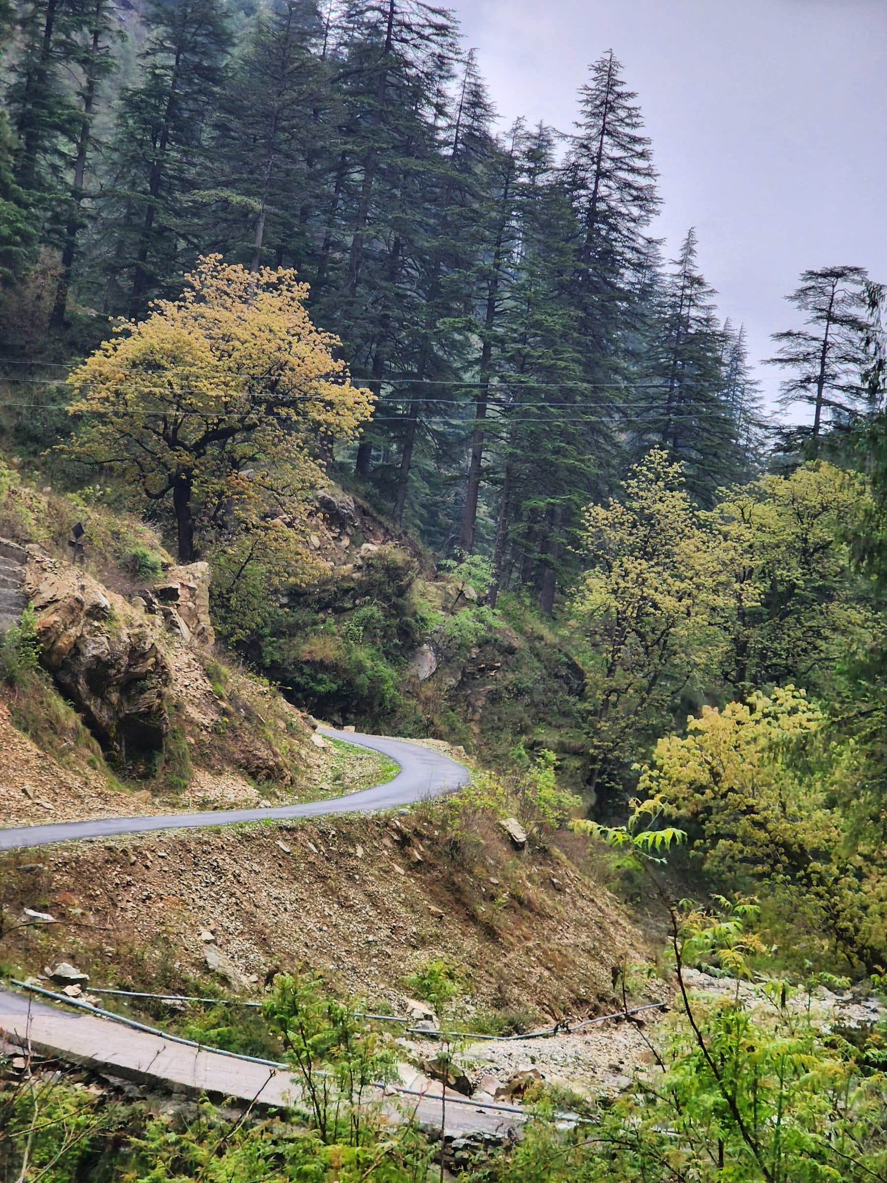 The Quiet Road: Why Jibhi and Kasol Are Worlds Apart—And Why the Distance Matters