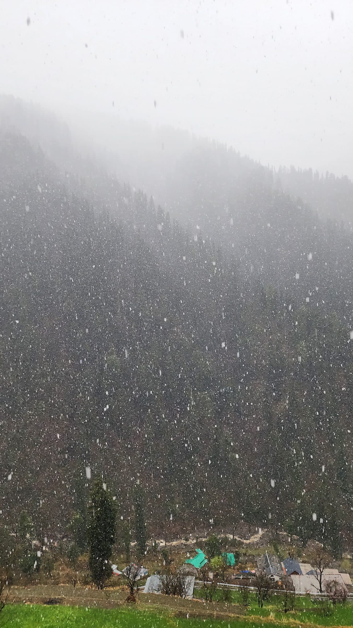 When to Go: Finding the Best Time to Visit Shoja and Jibhi Valley