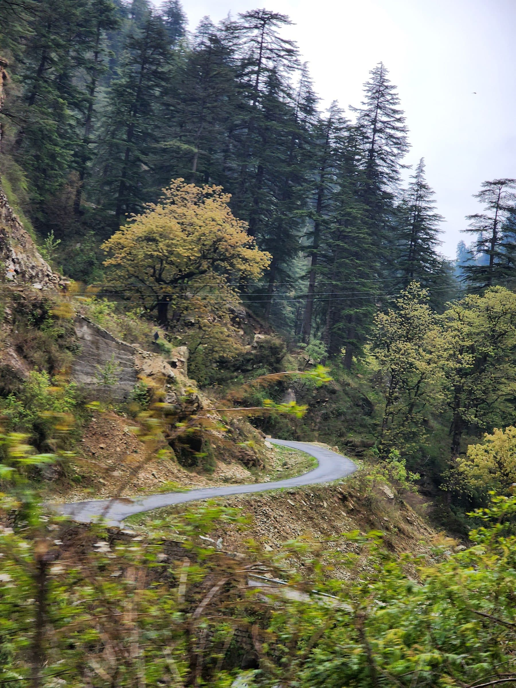 The Quiet Road to Jibhi: Why the Distance from Kullu, Manali, and Delhi Feels Like a Journey Back in Time