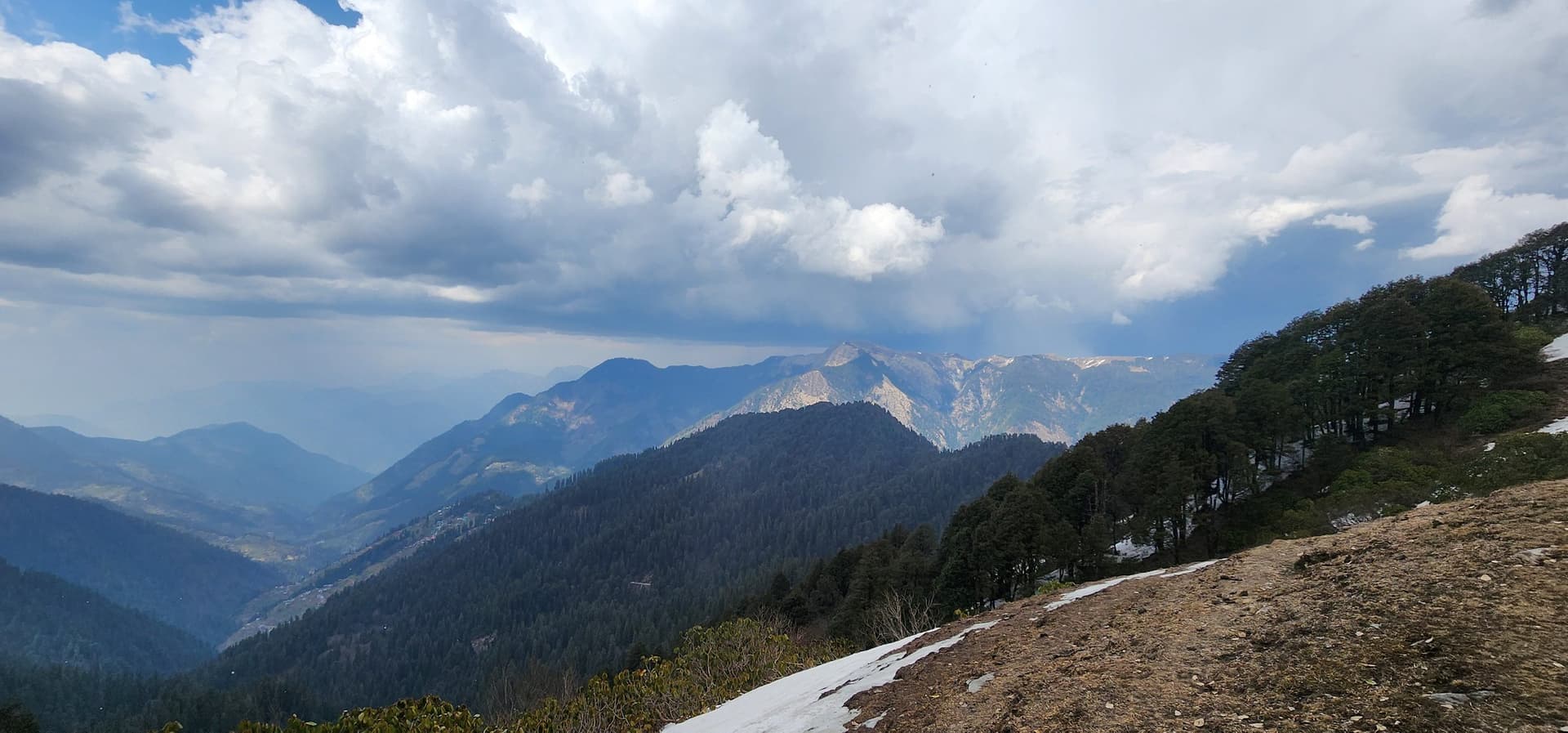 A tranquil winter scene in Jibhi Valley, Himachal Pradesh, India, featuring a snow-covered hillside and dense forest trees.