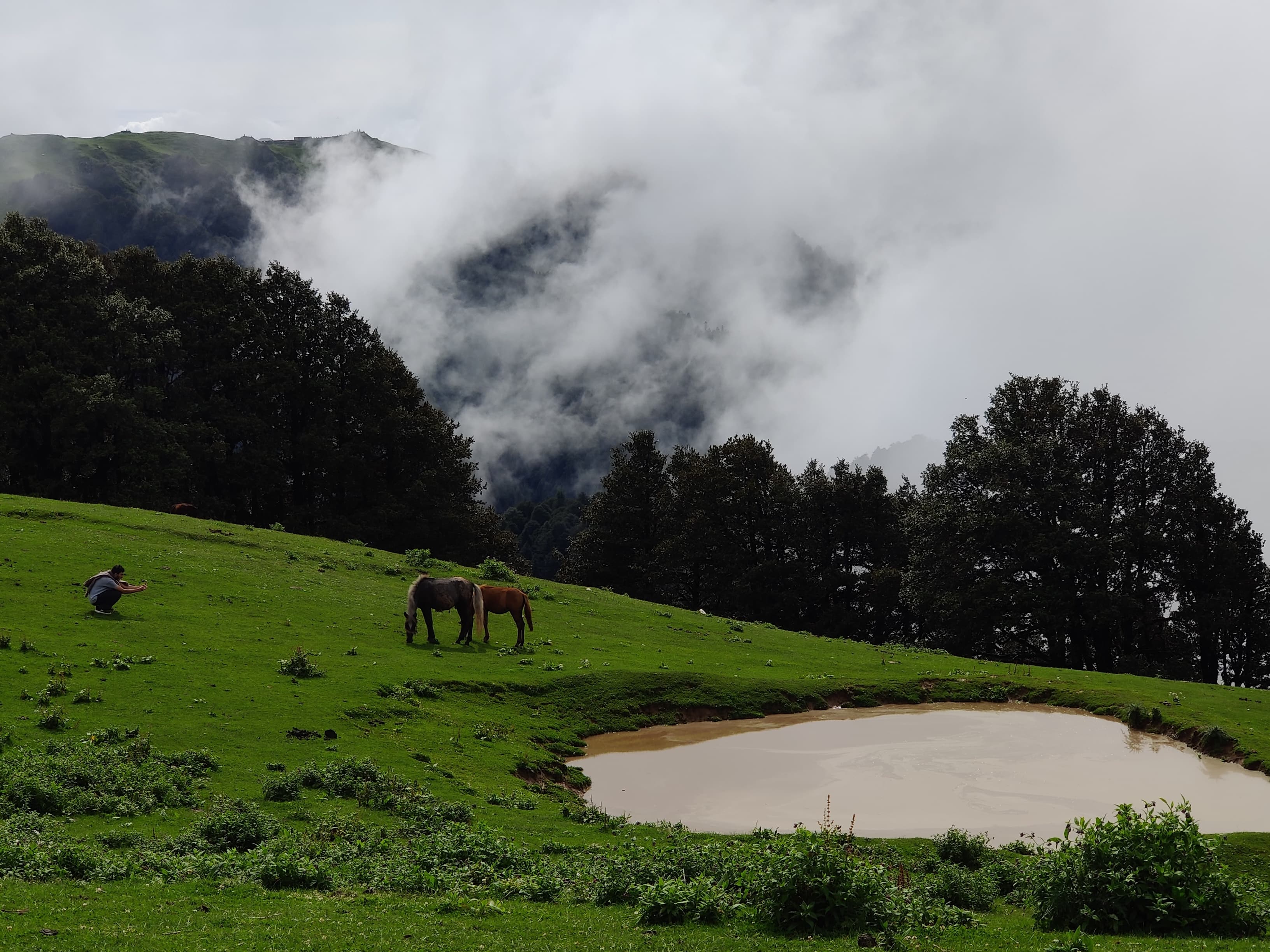 Panoramic view of Jibhi Valley