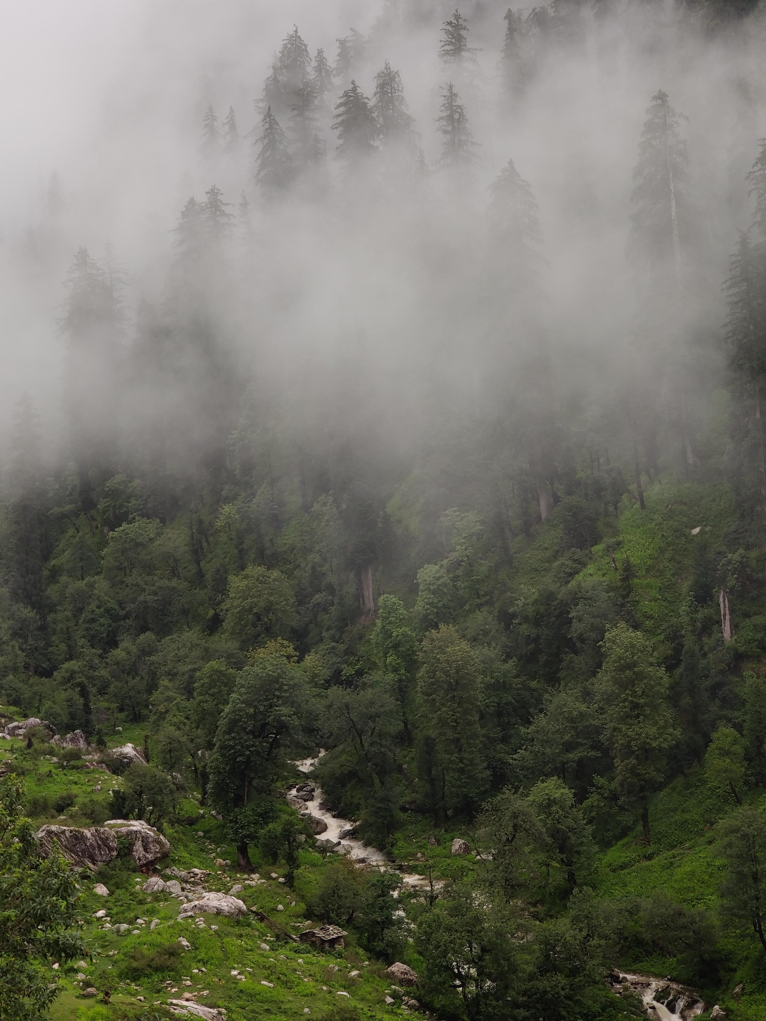 Accommodations in Jibhi