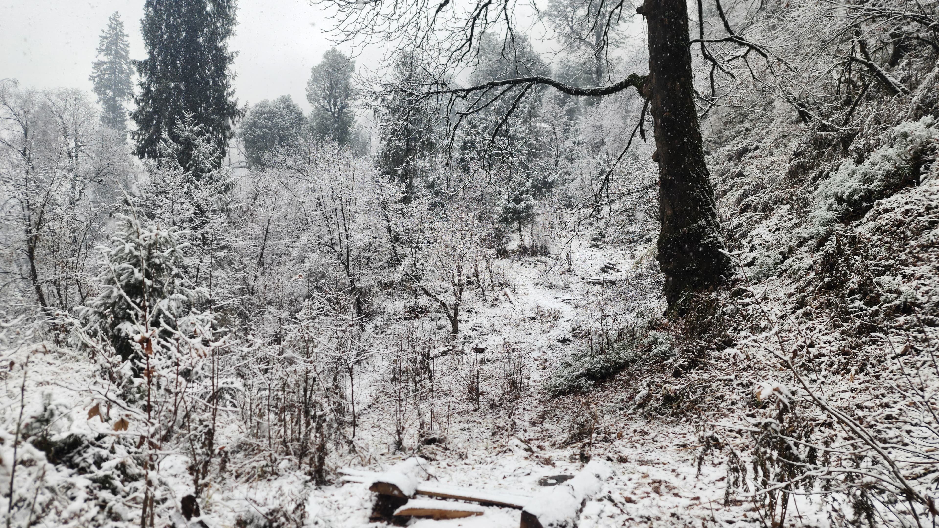 Snowy winter in Jibhi