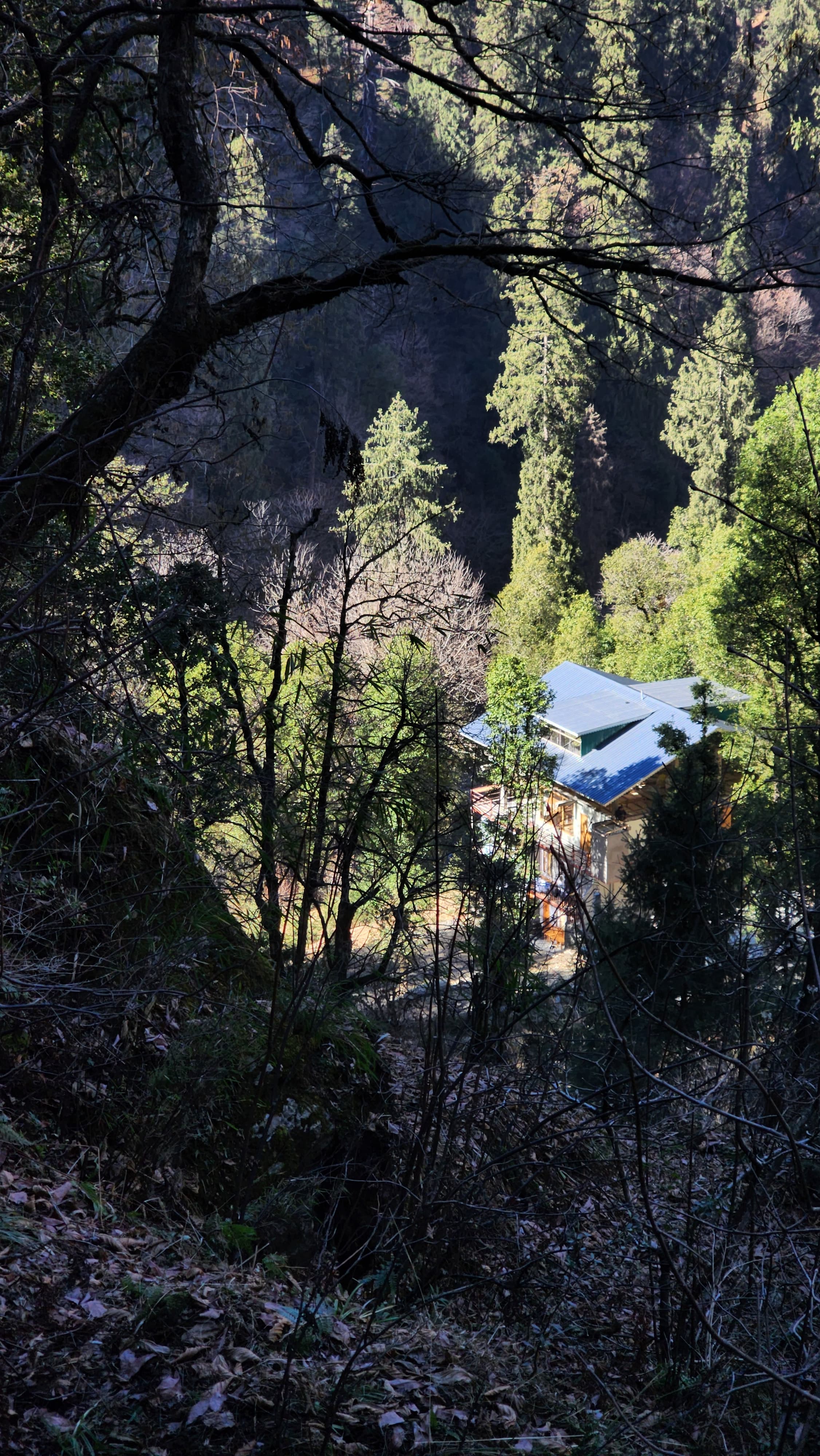 Why Ailyak Stays is the Best Place to Stay in Jibhi