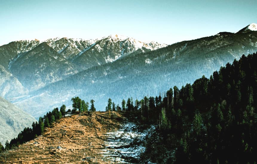Jibhi vs Manali