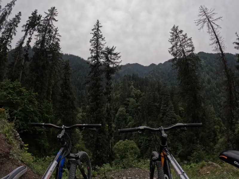 Biker on a lush forest trail in Jibhi
