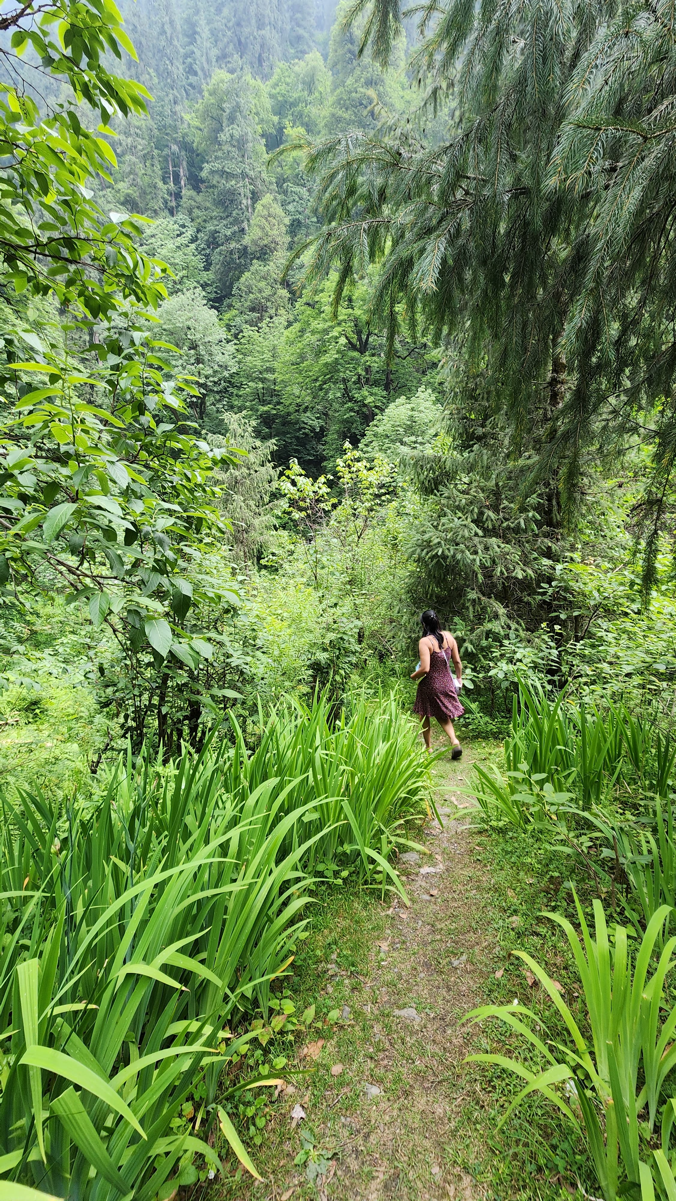 Guest meditating amidst lush green forest near Ailyak