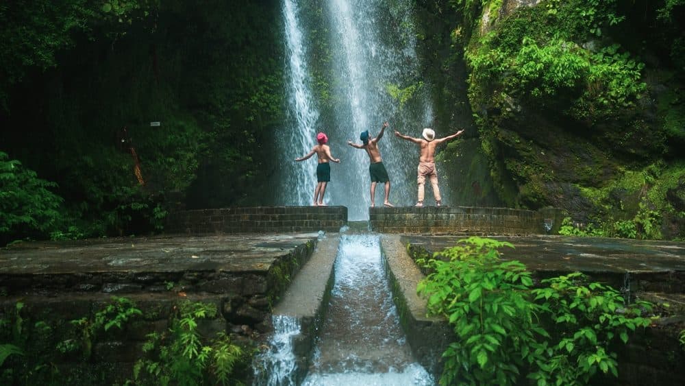 Jibhi Waterfall cascading through lush greenery