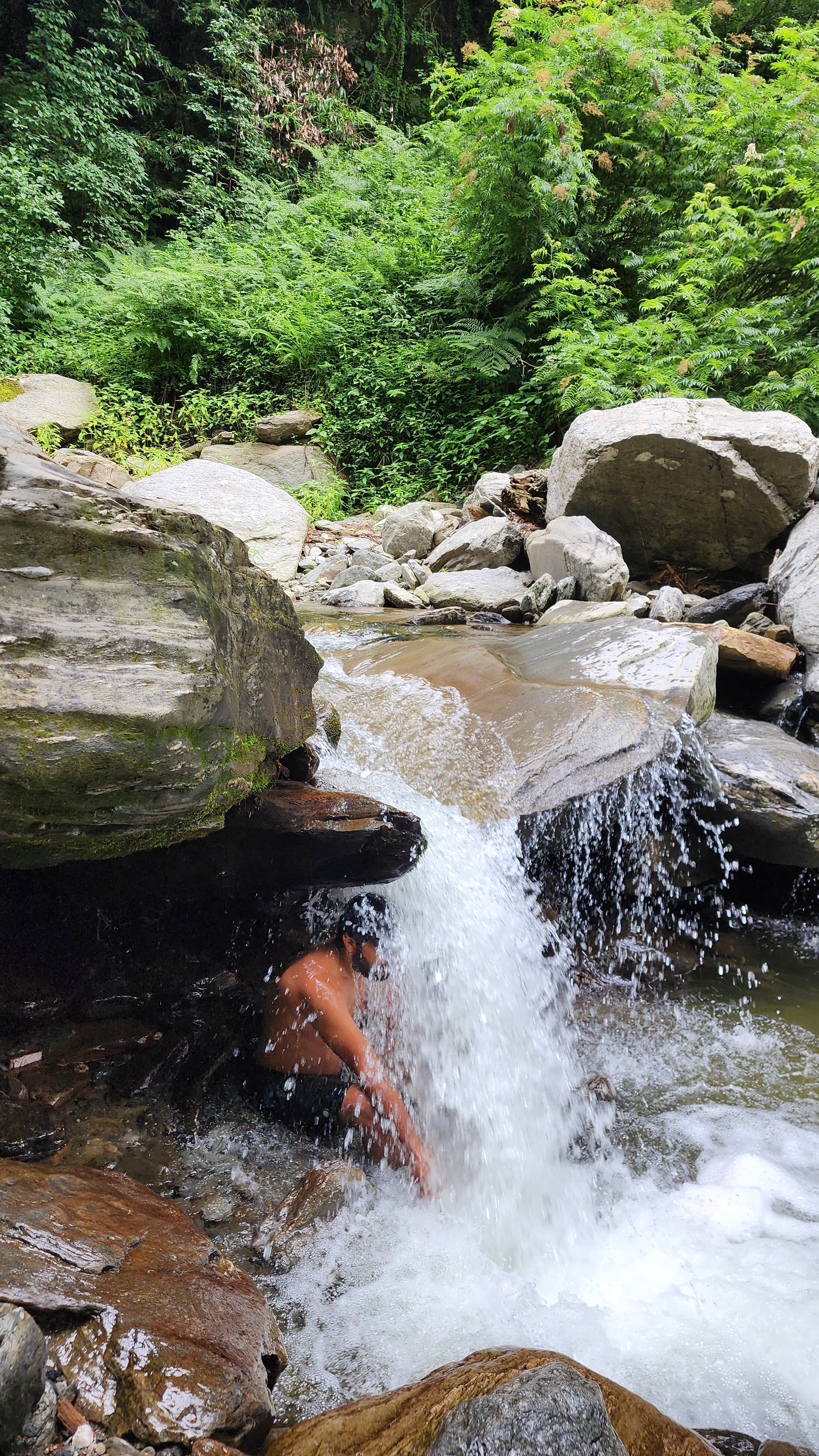 Meditation in a forest clearing