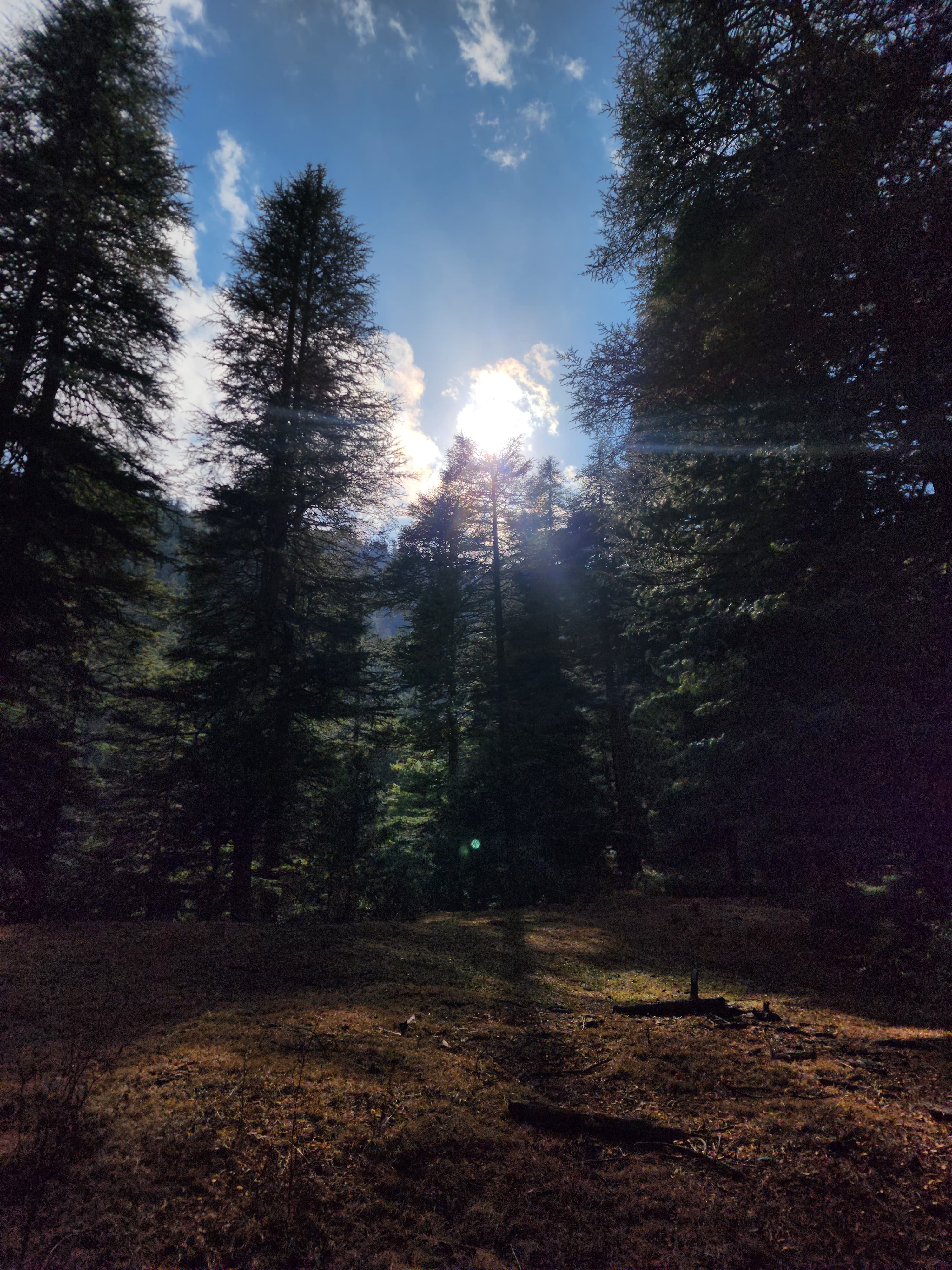 Seri gallery image 1