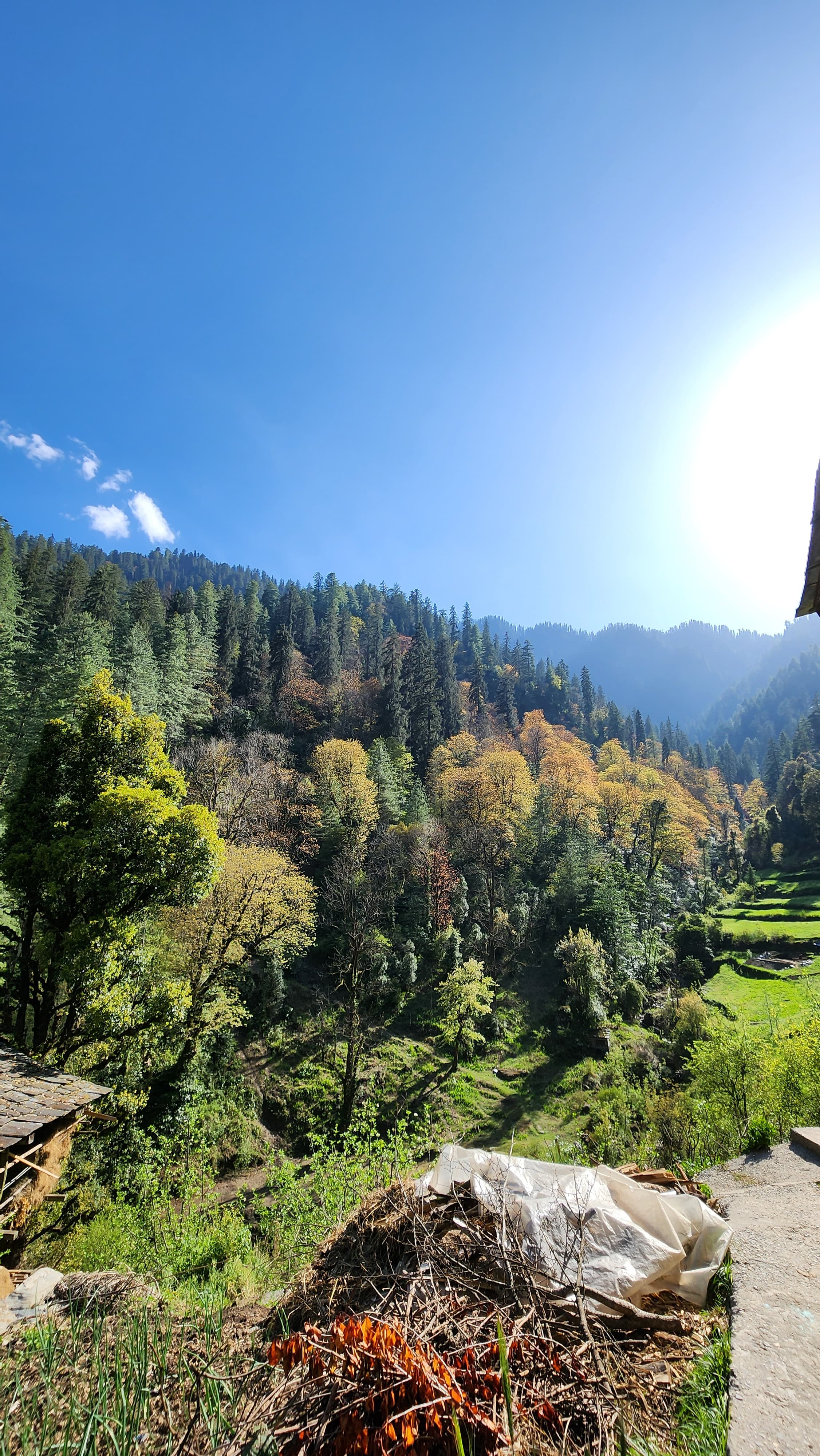 Seri gallery image 3