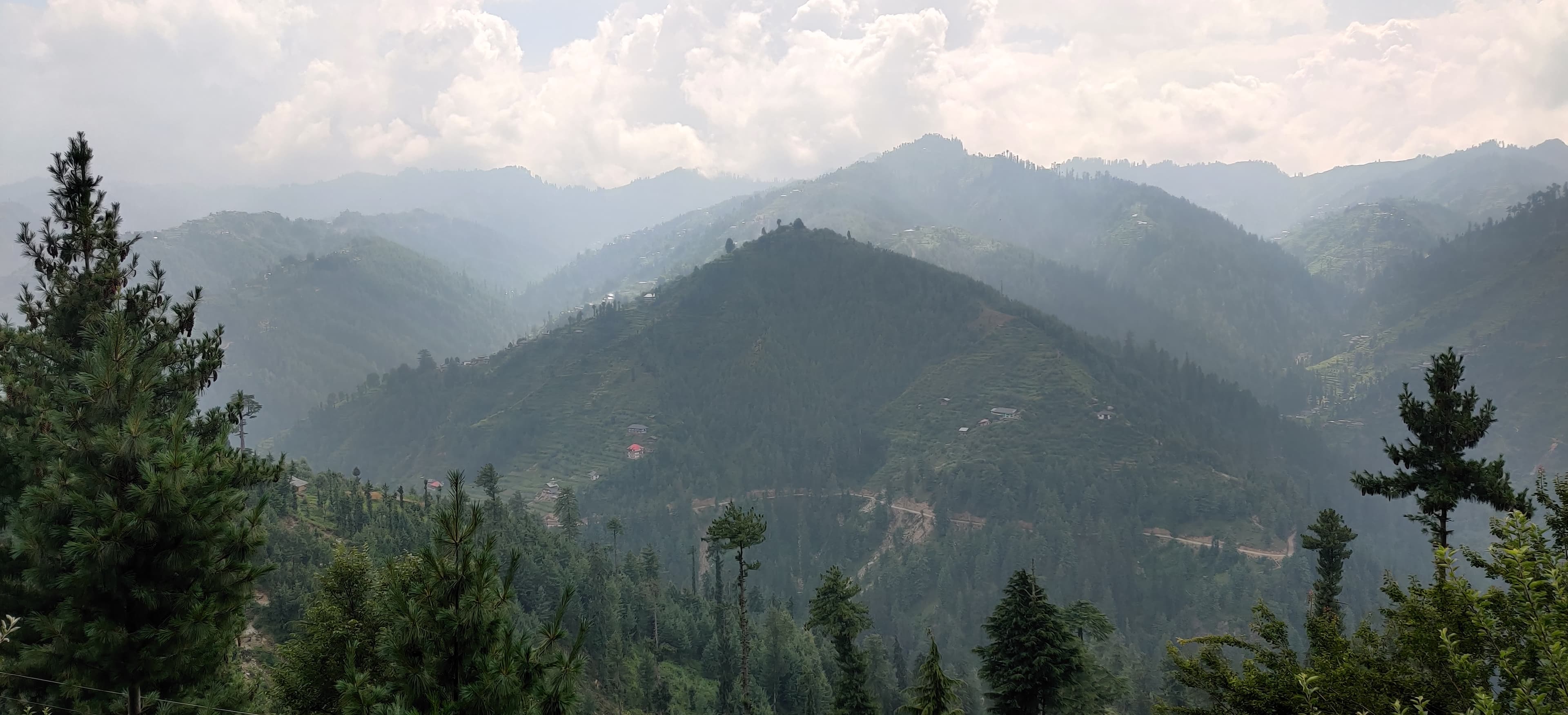 Tandi gallery image 1