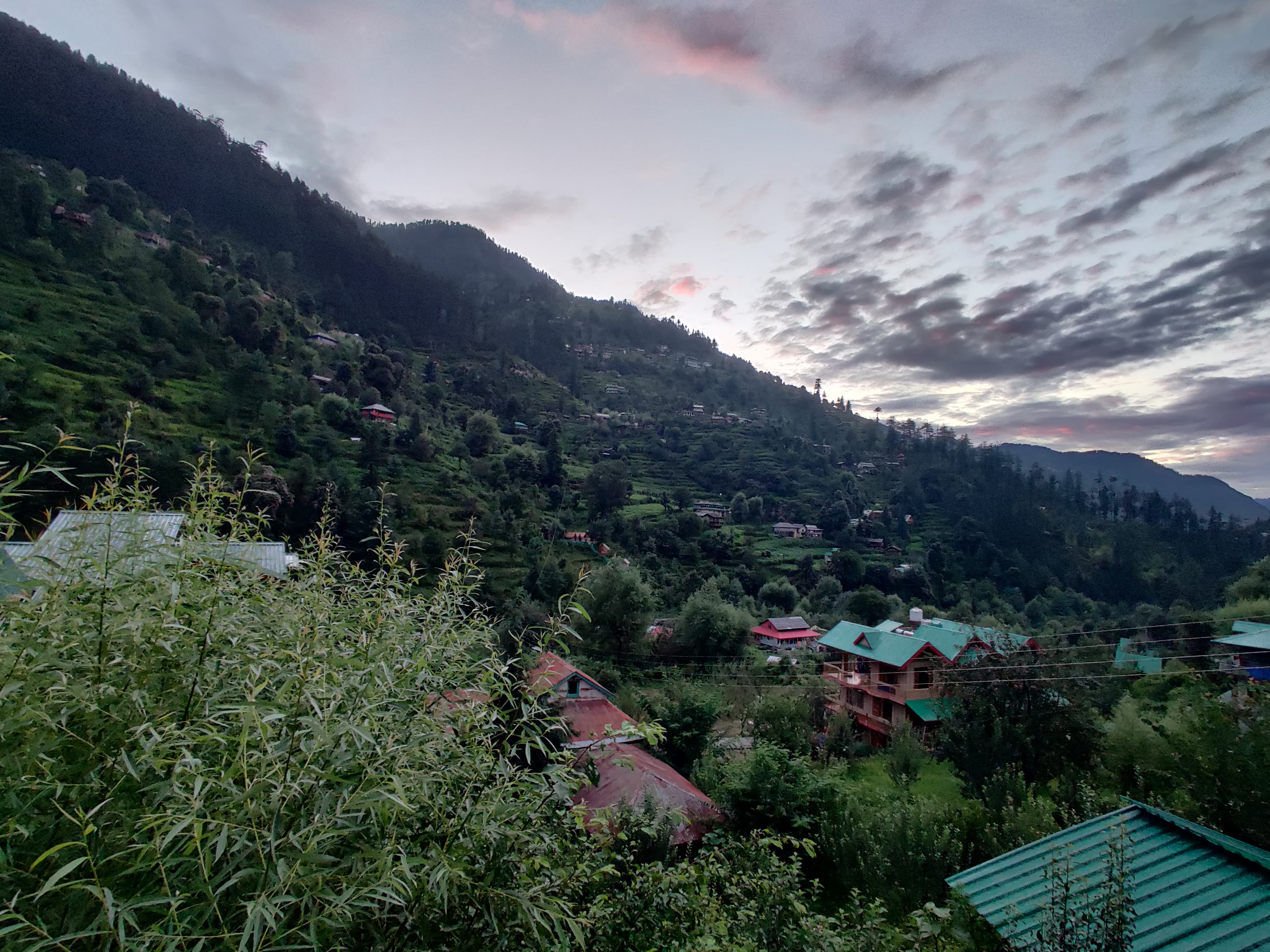 Tandi gallery image 2