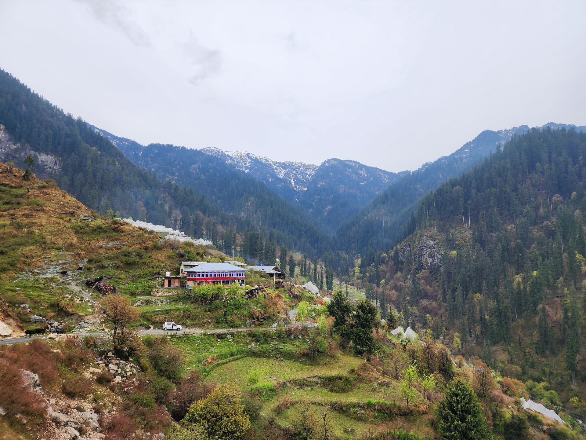 Rolling green hills and dense forests in a mountainous valley landscape