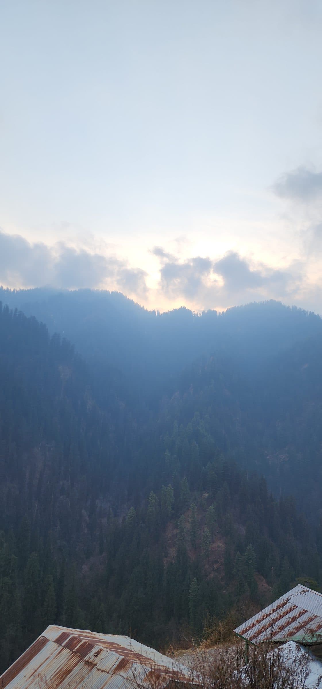 Rolling, forested mountains covered in haze and atmospheric fog