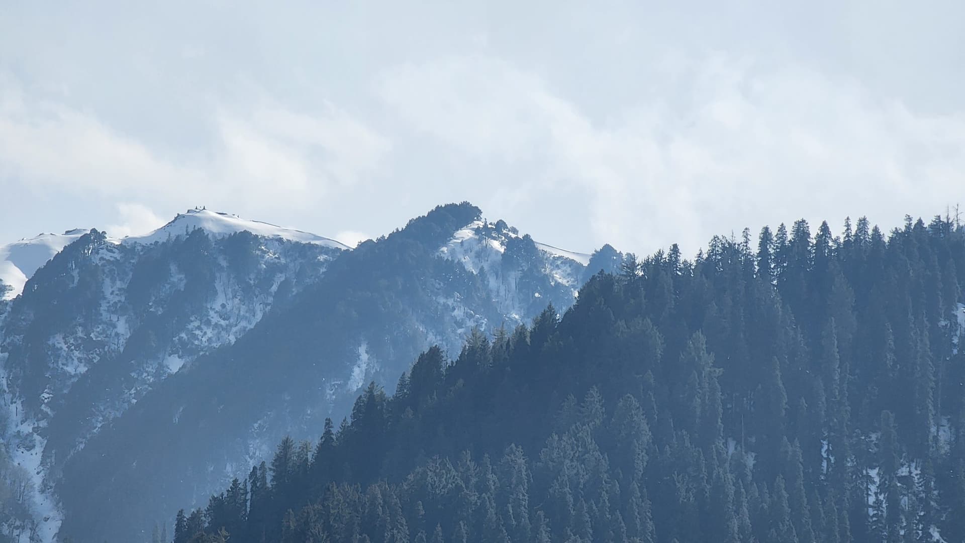 A serene winter landscape of snow-covered trees in Jibhi Valley, Himachal Pradesh, India.