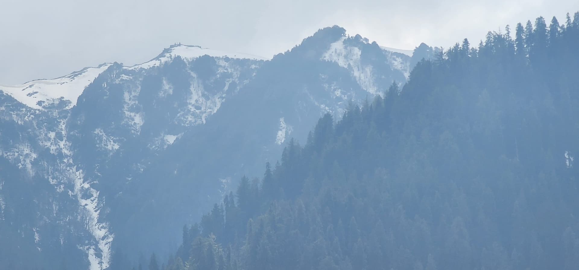 View of dense green pine forests covering hazy mountains in Jibhi Valley, Himachal Pradesh.
