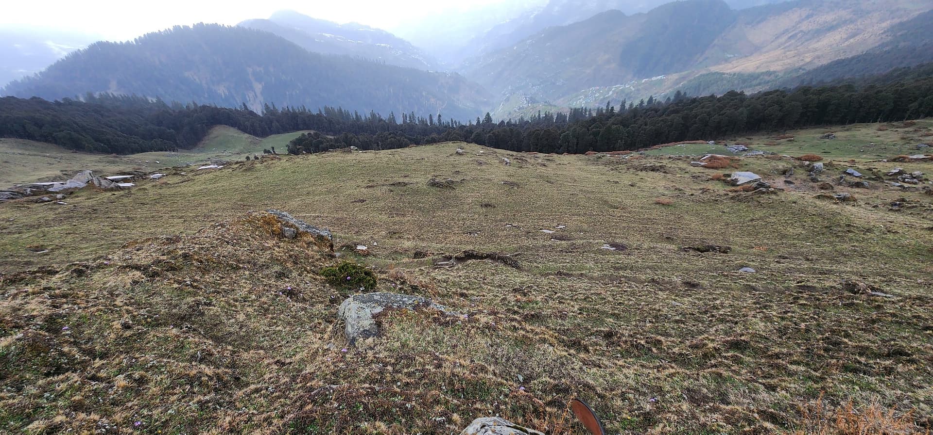 A rustic wooden sign points through a verdant hillside in Jibhi Valley, Himachal Pradesh, India.