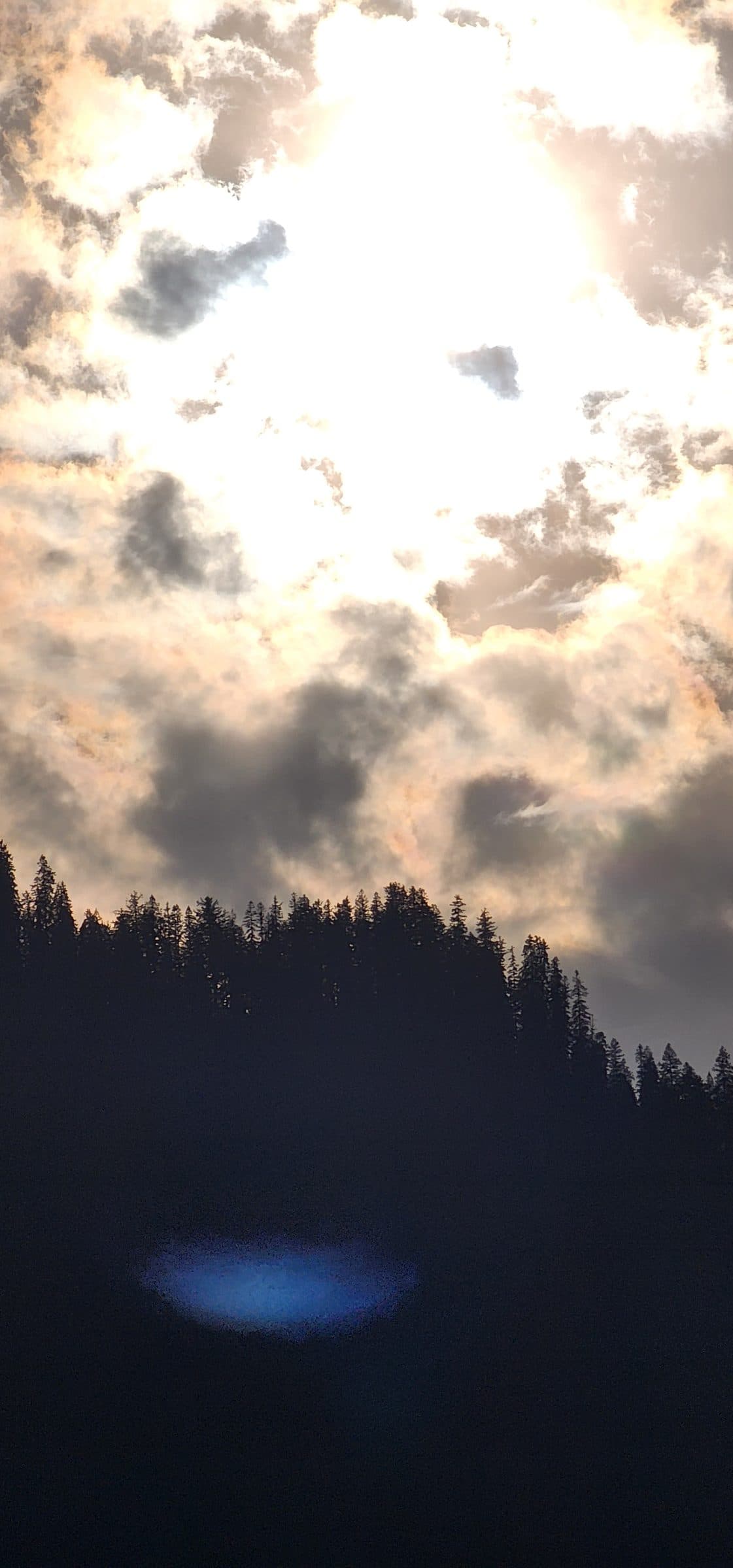 Silhouette of dense forest against a bright, cloudy sky in Jibhi Valley