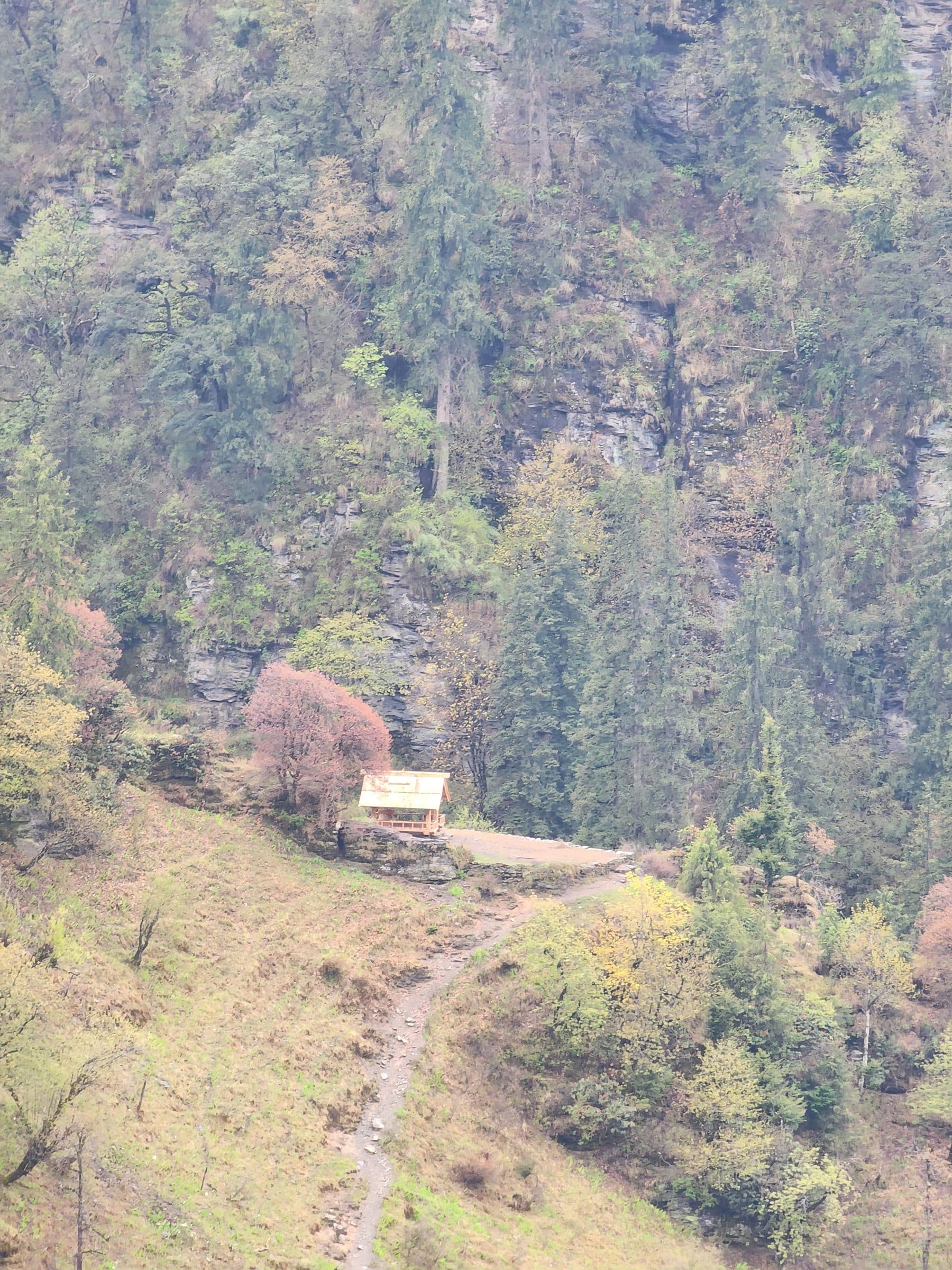 A winding stone path leads through a dense forest in the Jibhi Valley, Himachal Pradesh, India.