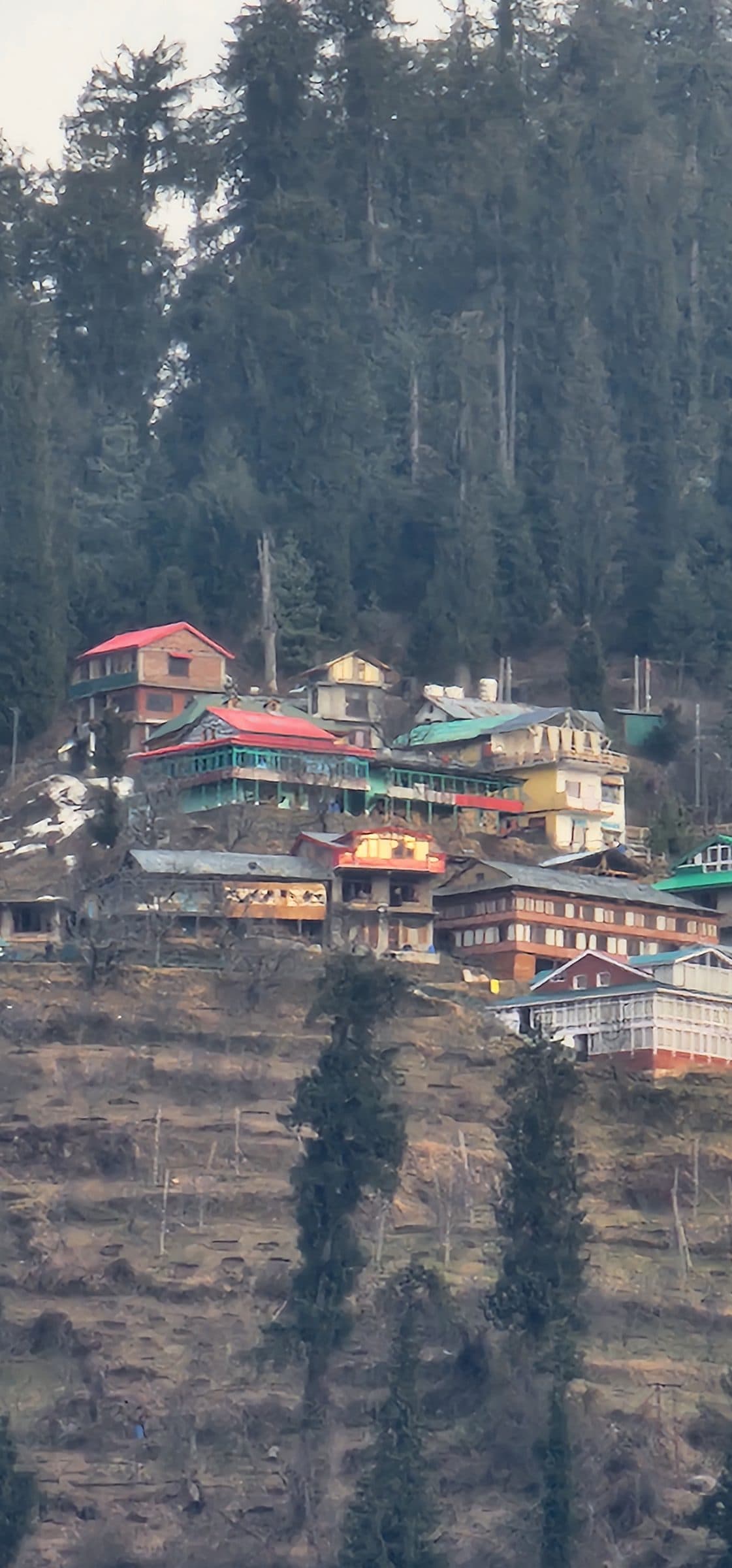 A charming hillside village in Jibhi Valley, Himachal Pradesh, India, with traditional red-roofed houses nestled amongst the trees.