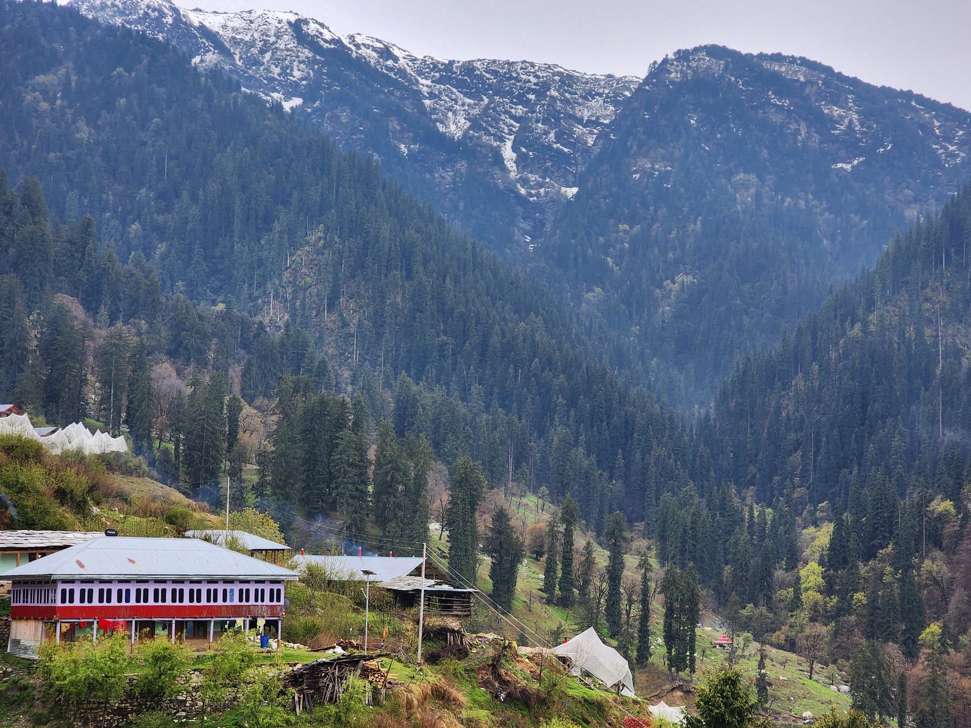 A quaint hillside scene in Jibhi Valley, Himachal Pradesh, featuring traditional rooftops and lush green trees.