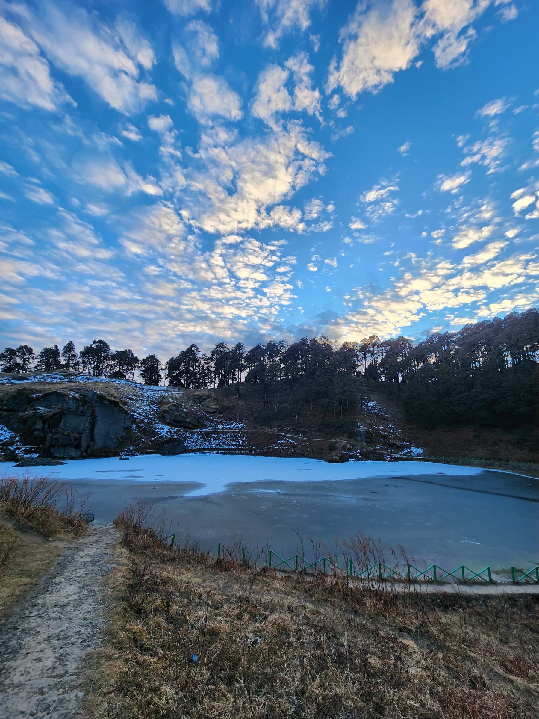 Dry grass and trees bordering a reflective body of water under a blue sky