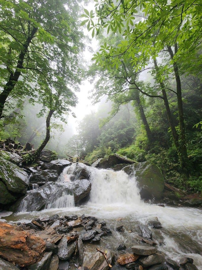 Lush green trees surrounding a flowing waterfall and wet rocks in a misty forest, near Ailyak Shoja.