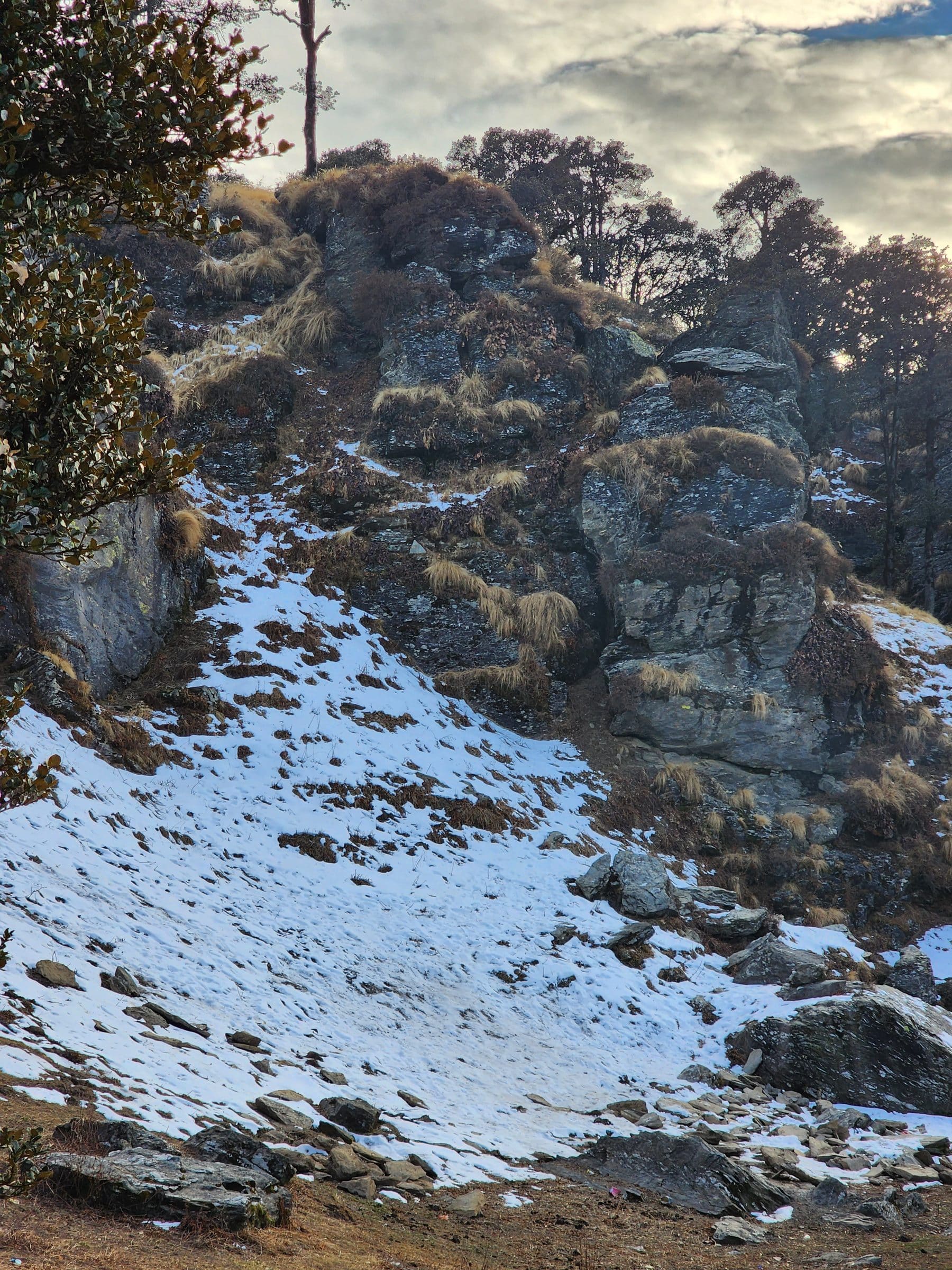 When It Snows in Jibhi: Your Complete Guide to Winter in the Valley