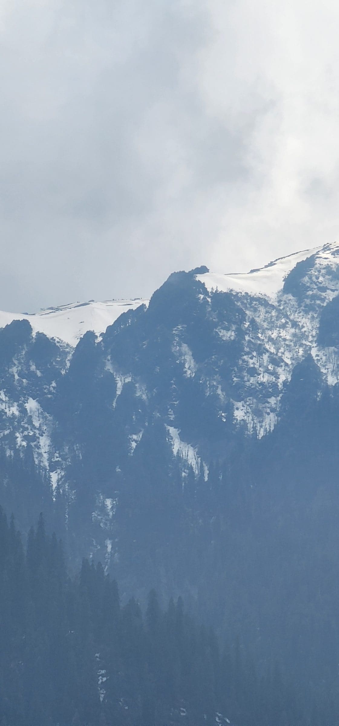 A Plate of the Mountains: Discovering the Soul of Himachali Food in Jibhi Valley