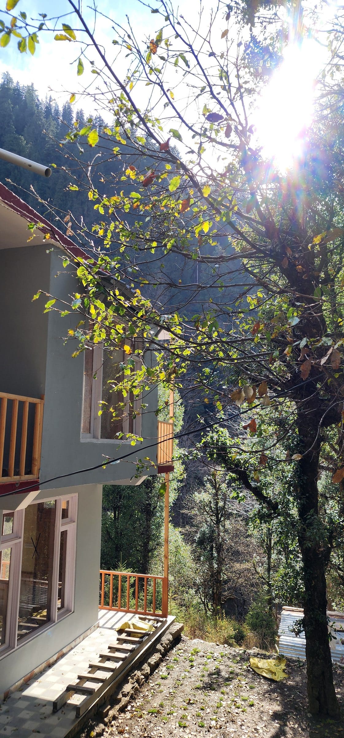 The Quiet Magic of Shoja: A Mountain Pause Above the Clouds