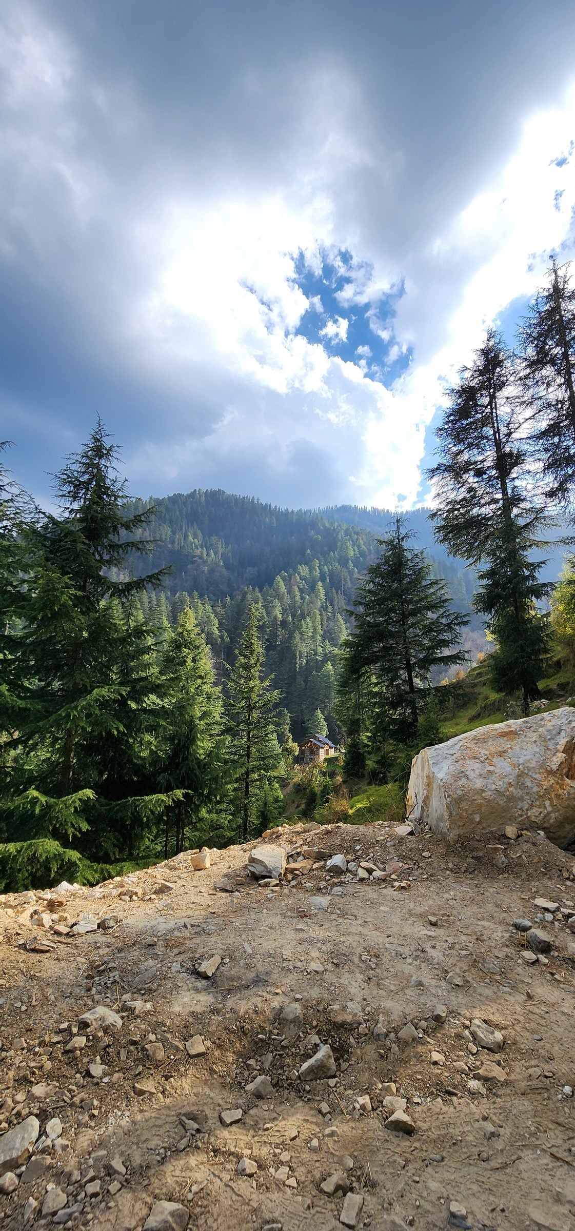 A scenic view of a rocky hillside in Shoja Valley, Himachal Pradesh, India, with scattered pine trees.