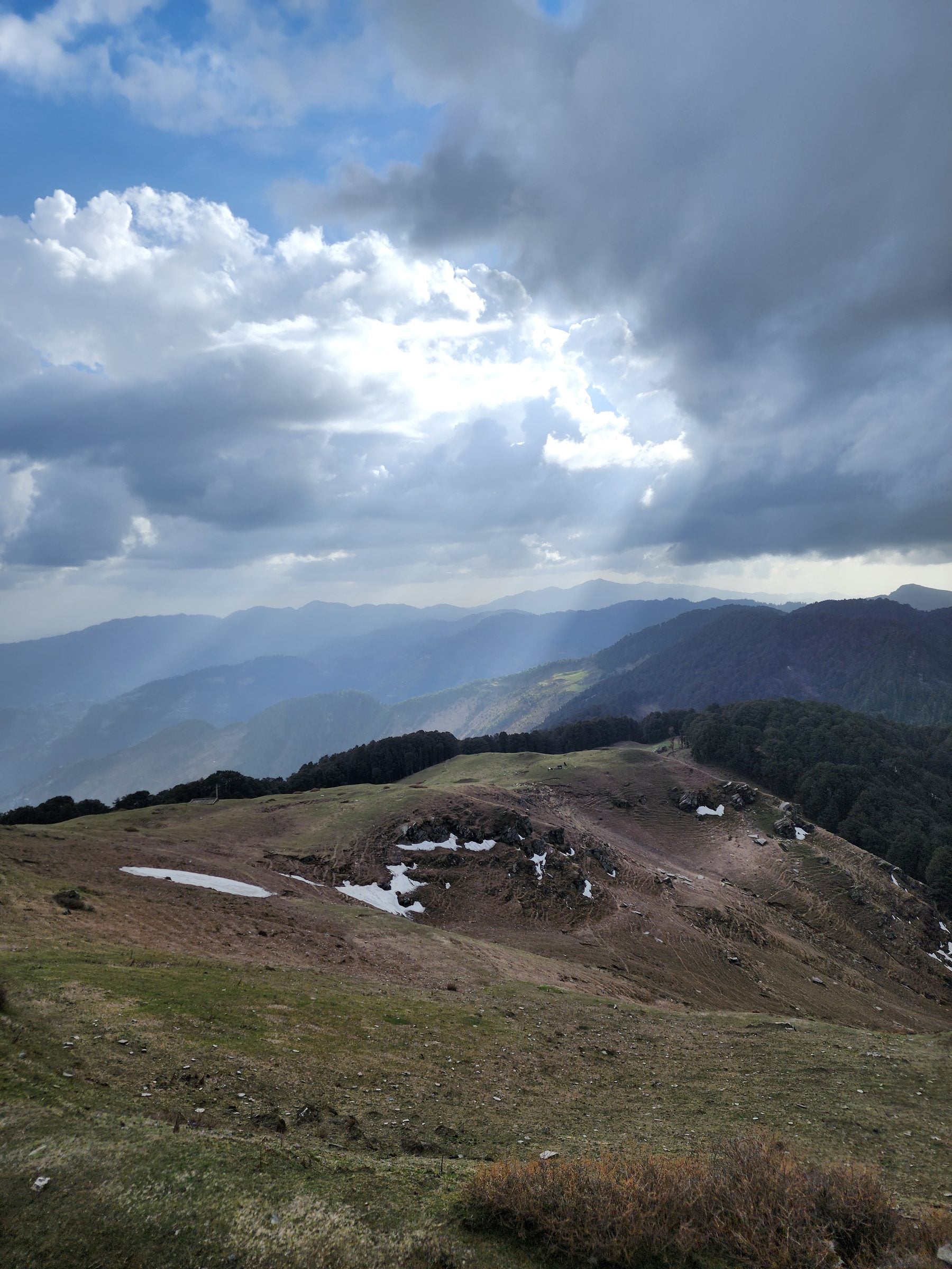 A breathtaking vista of a lush green valley in Jibhi, Himachal Pradesh, India, featuring scattered trees and a cloudy sky.