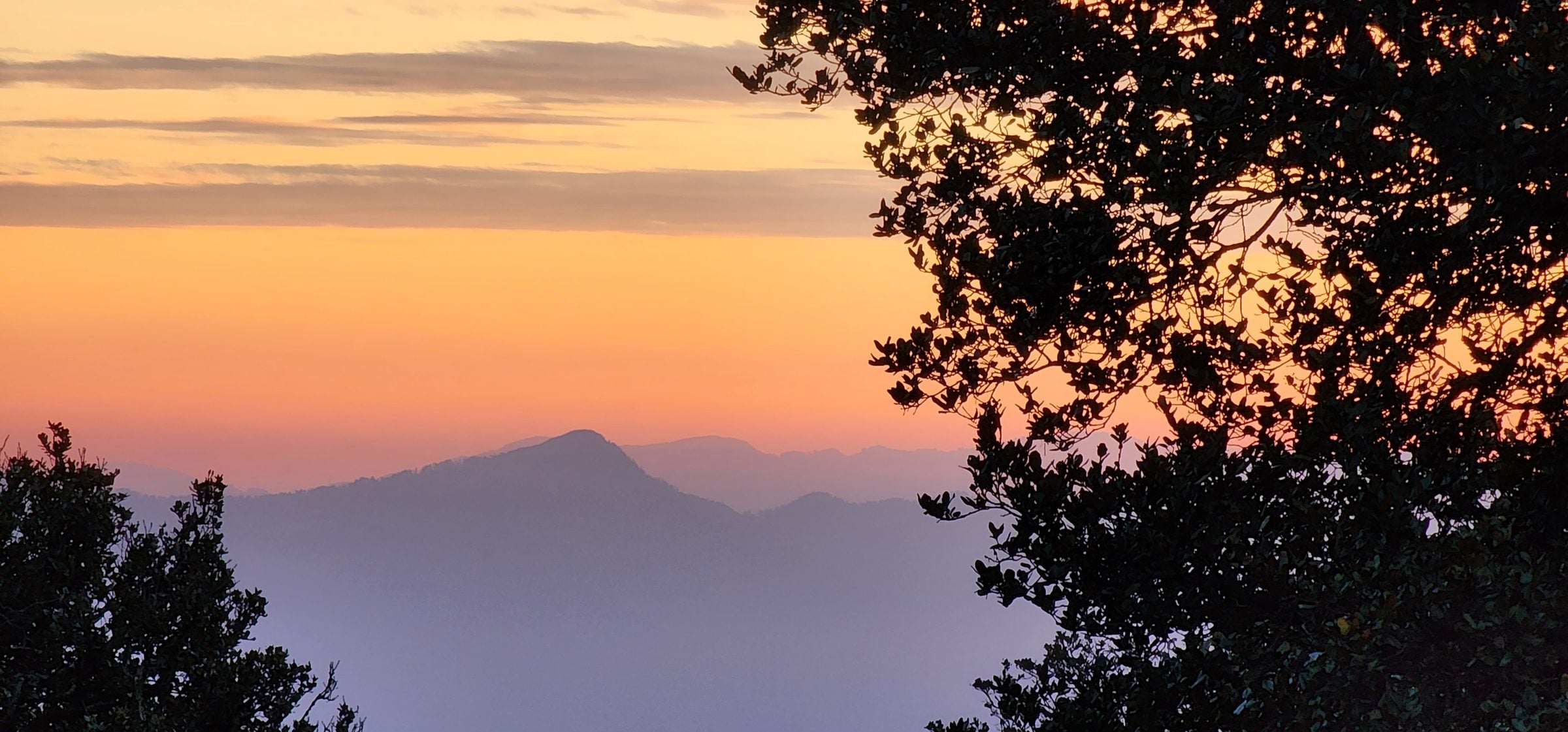 A picturesque evening view of Jibhi Valley in Himachal Pradesh India, featuring a golden sunset silhouette amongst the trees.