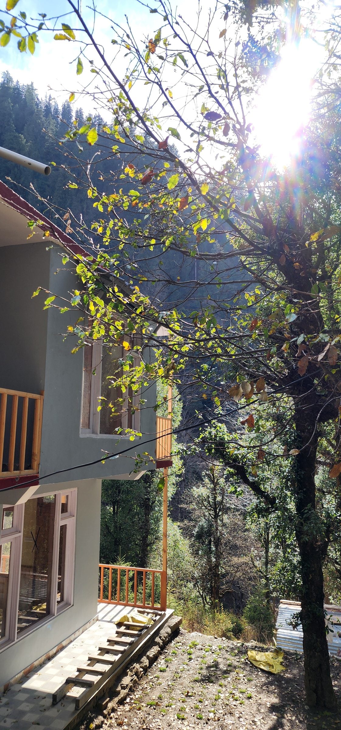 A serene wooden walkway leads towards a charming building in Shoja village, Himachal Pradesh, India.