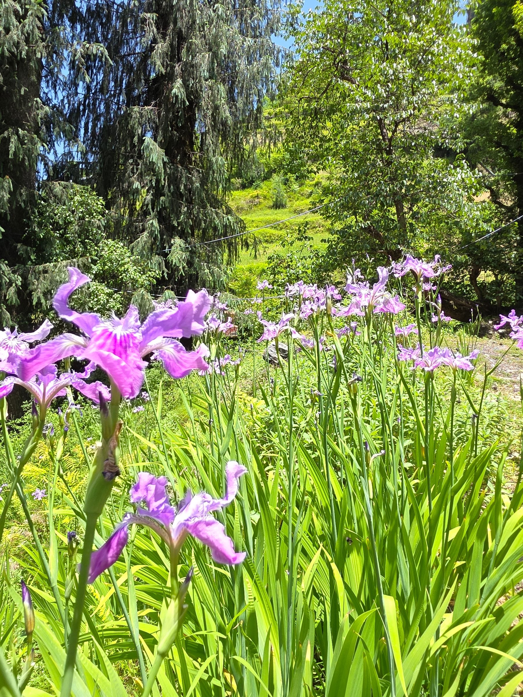 20260520_120251.jpg