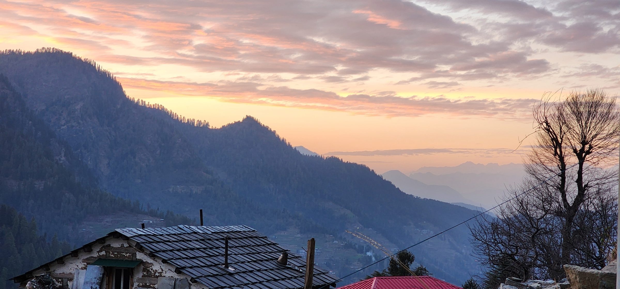 April in Jibhi: Where Blossoms Meet Mountain Breezes