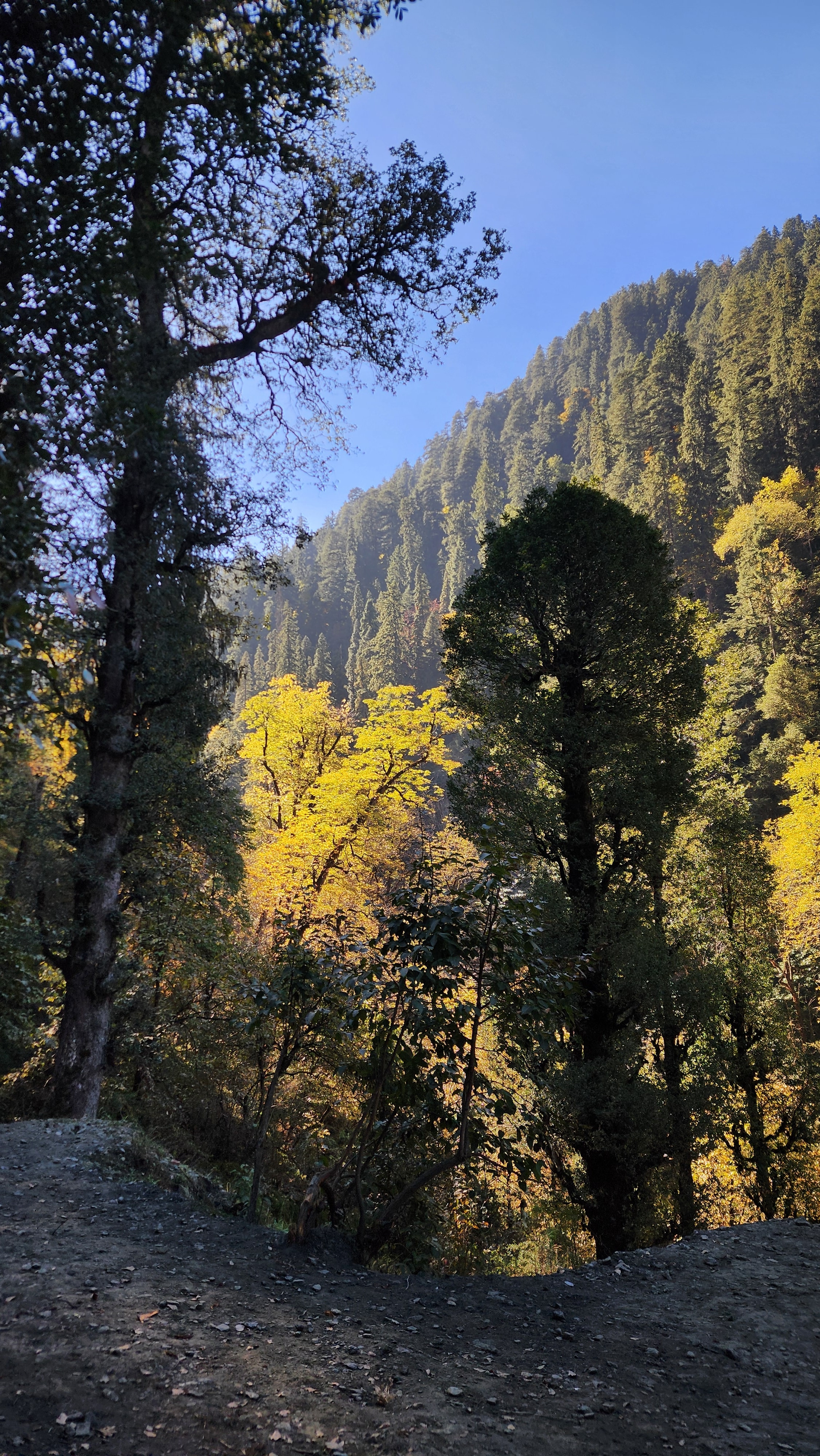 Jibhi in September - autumn season in Jibhi Valley