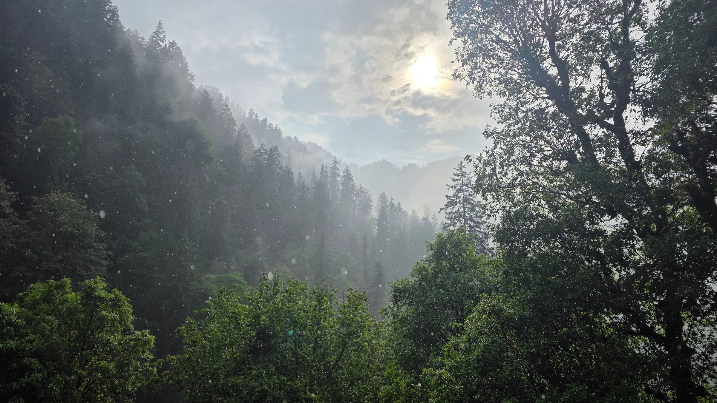 Jibhi right now: 16°C at dawn, a clear sky, and a 100% chance of rain by evening
