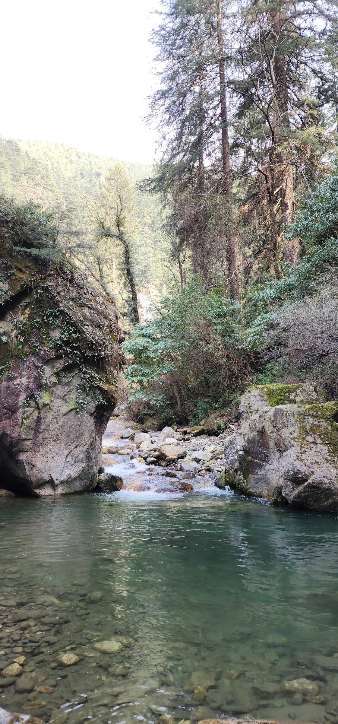 A tranquil river flows through a rocky gorge in Jibhi Valley, Himachal Pradesh, India, with lush green vegetation.