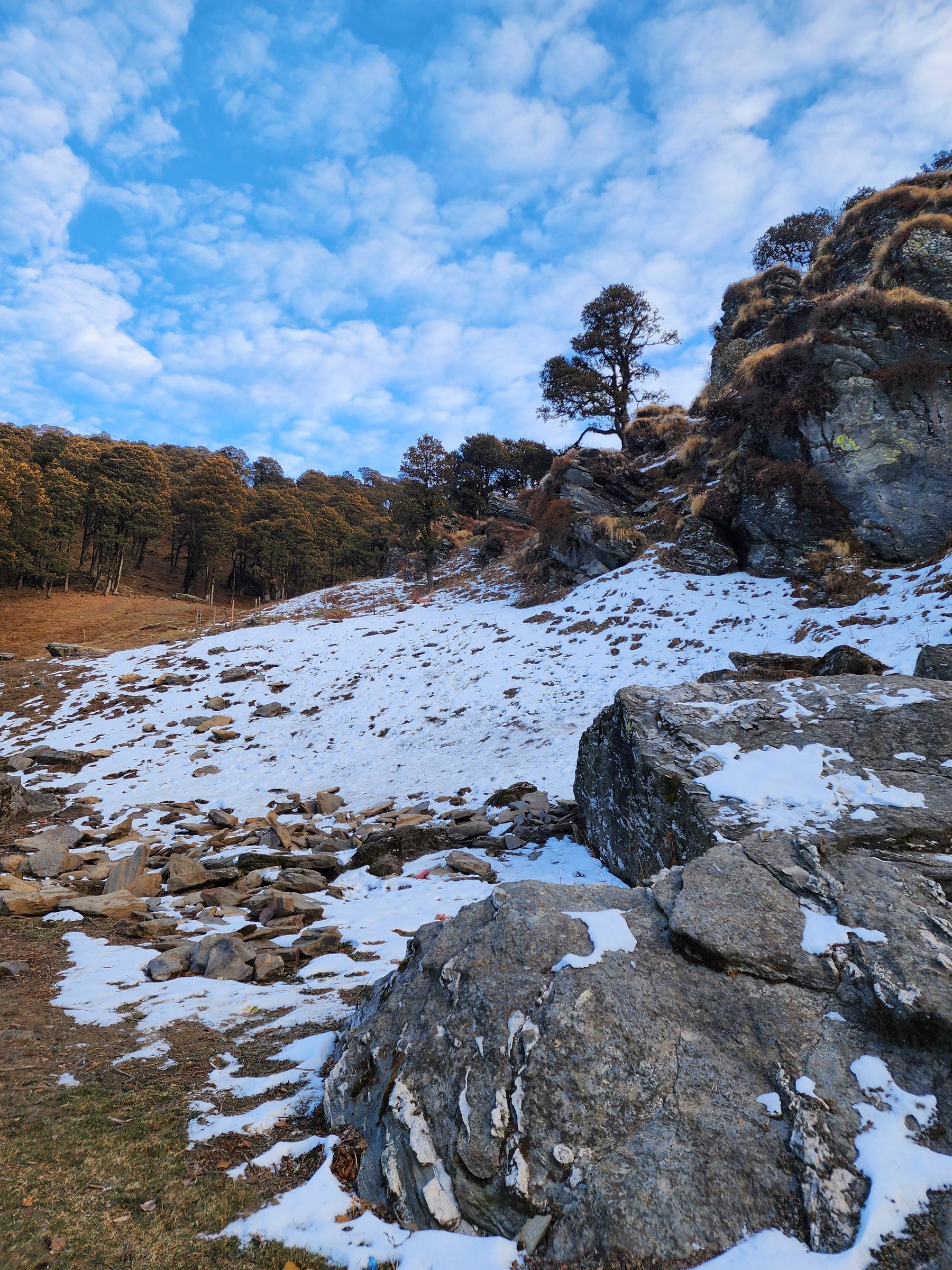 Silent Snowfall Serenity in Jibhi Valley A serene winter scene in Jibhi Valley, Himachal Pradesh, India, featuring snow-covered rocks and a dense forest.