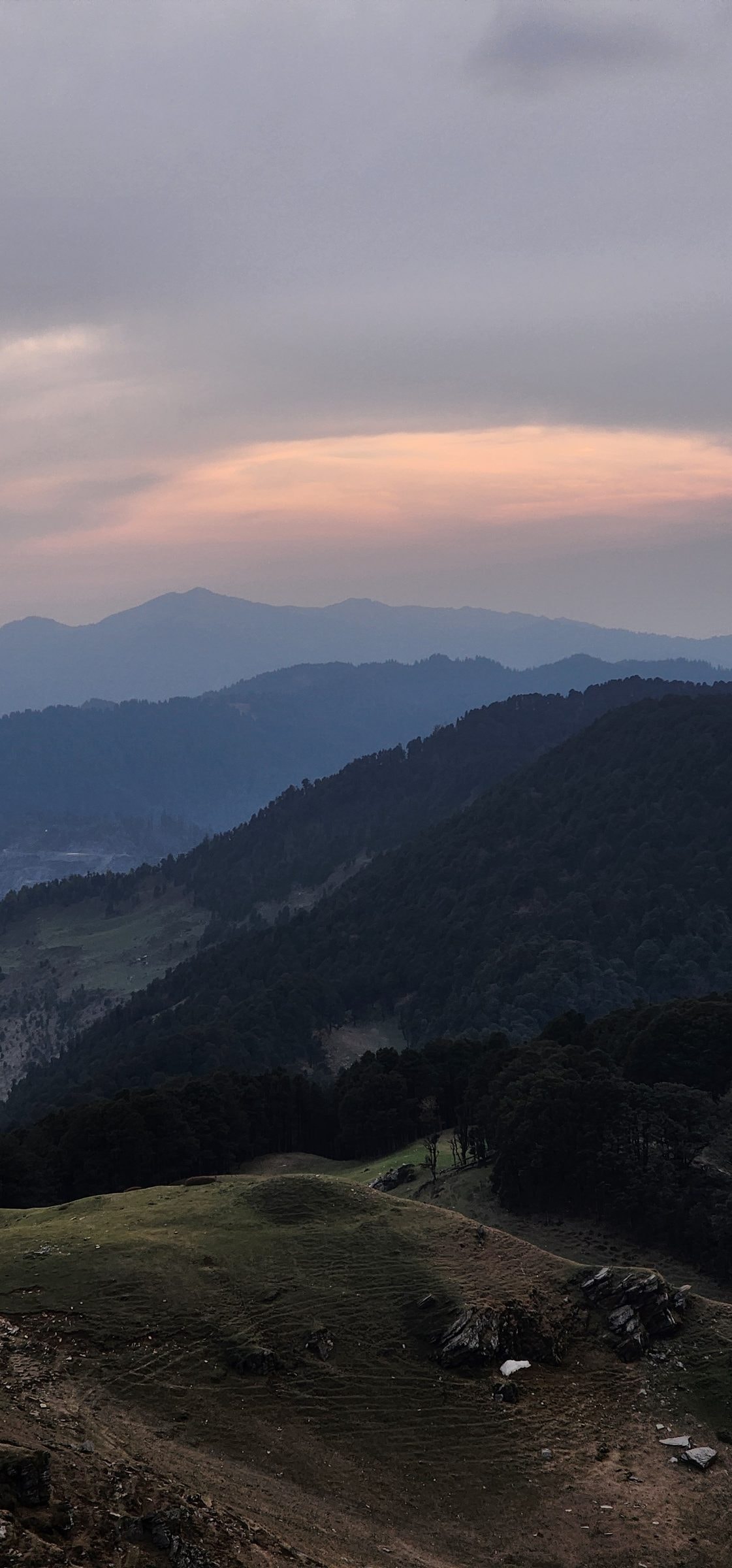 Jibhi Temperature Today: Things to do, places to see and road conditions