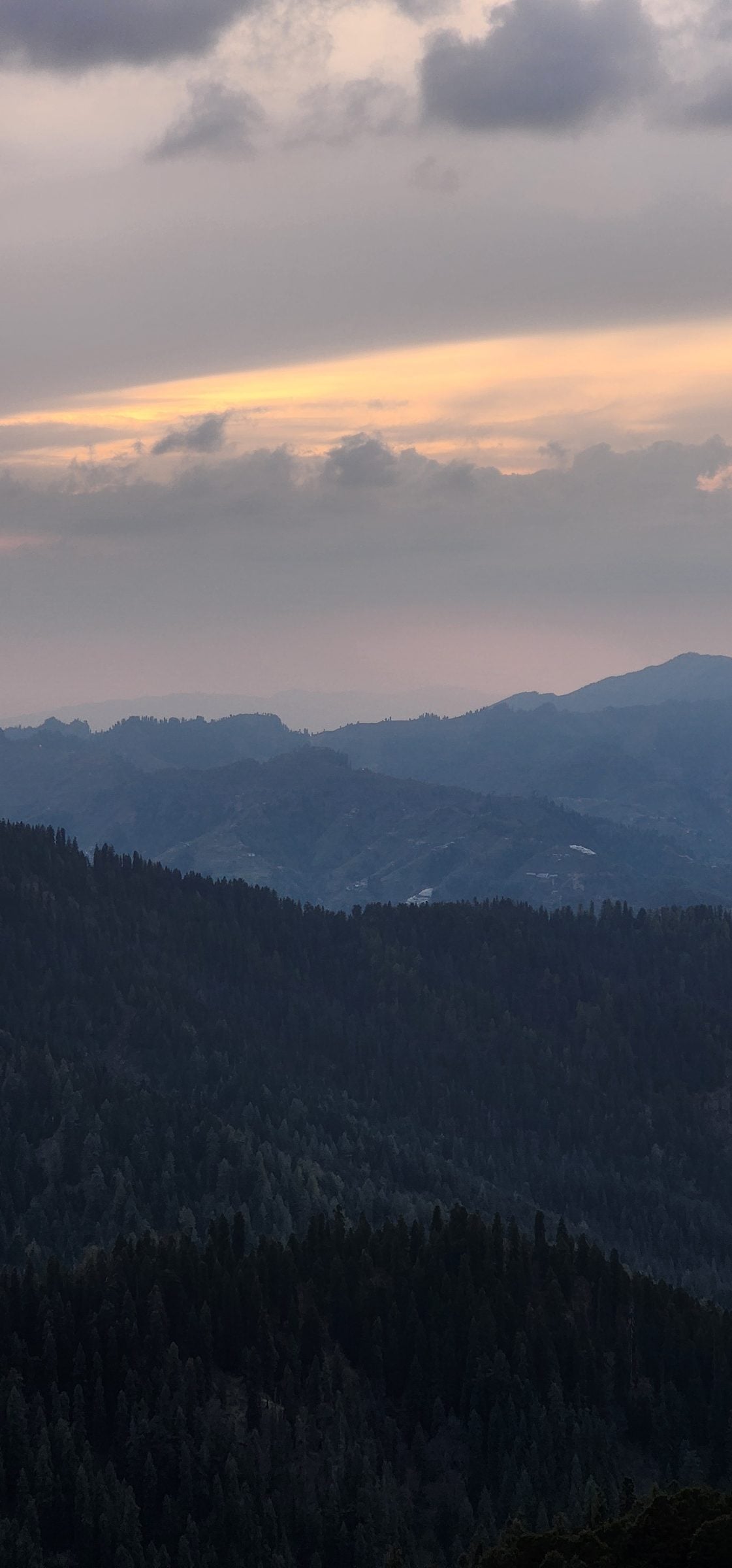 20240428_183435.jpg 20240428_183435.jpg