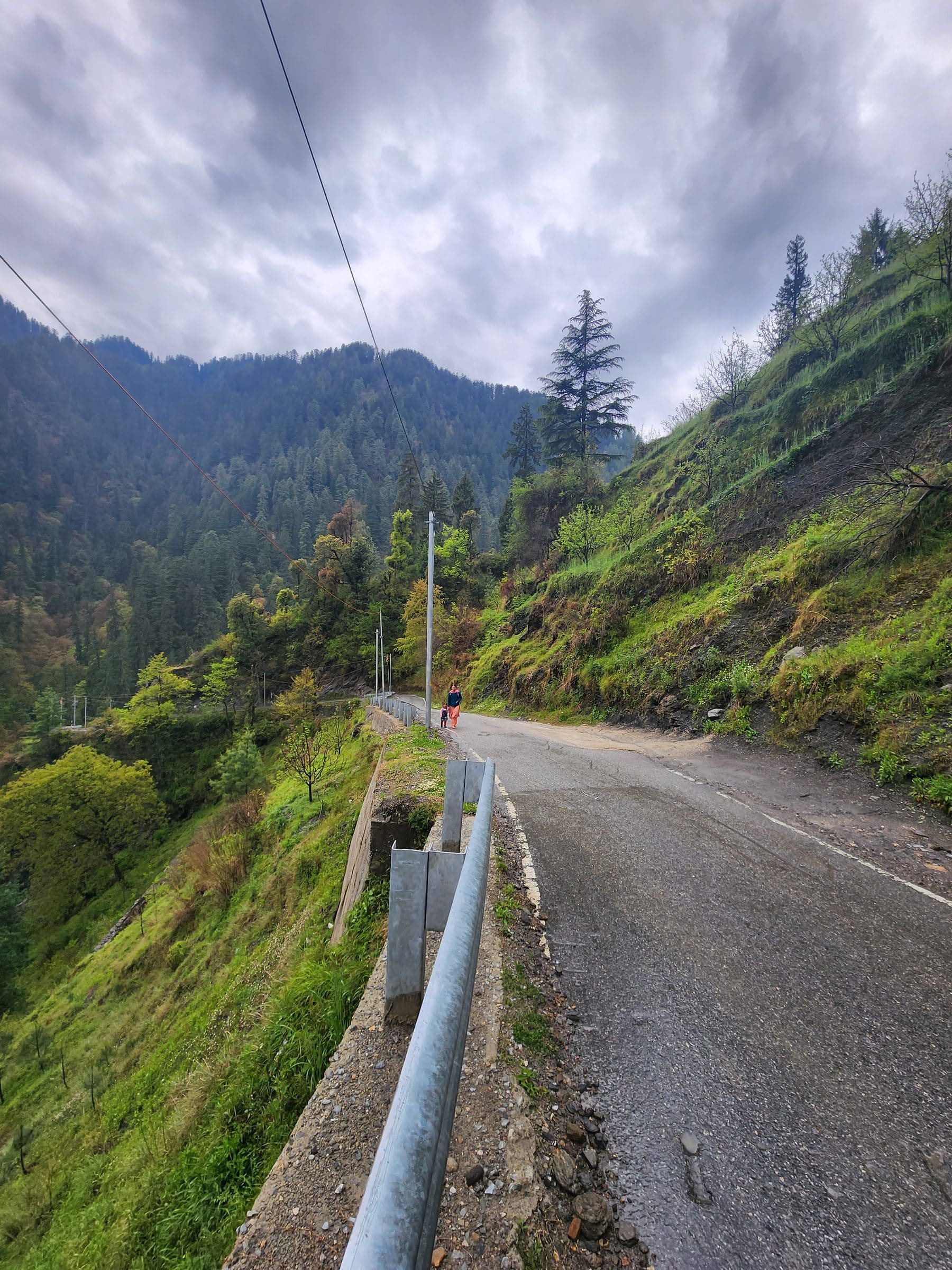 The Road to Stillness: Navigating Your Way to Jibhi Valley