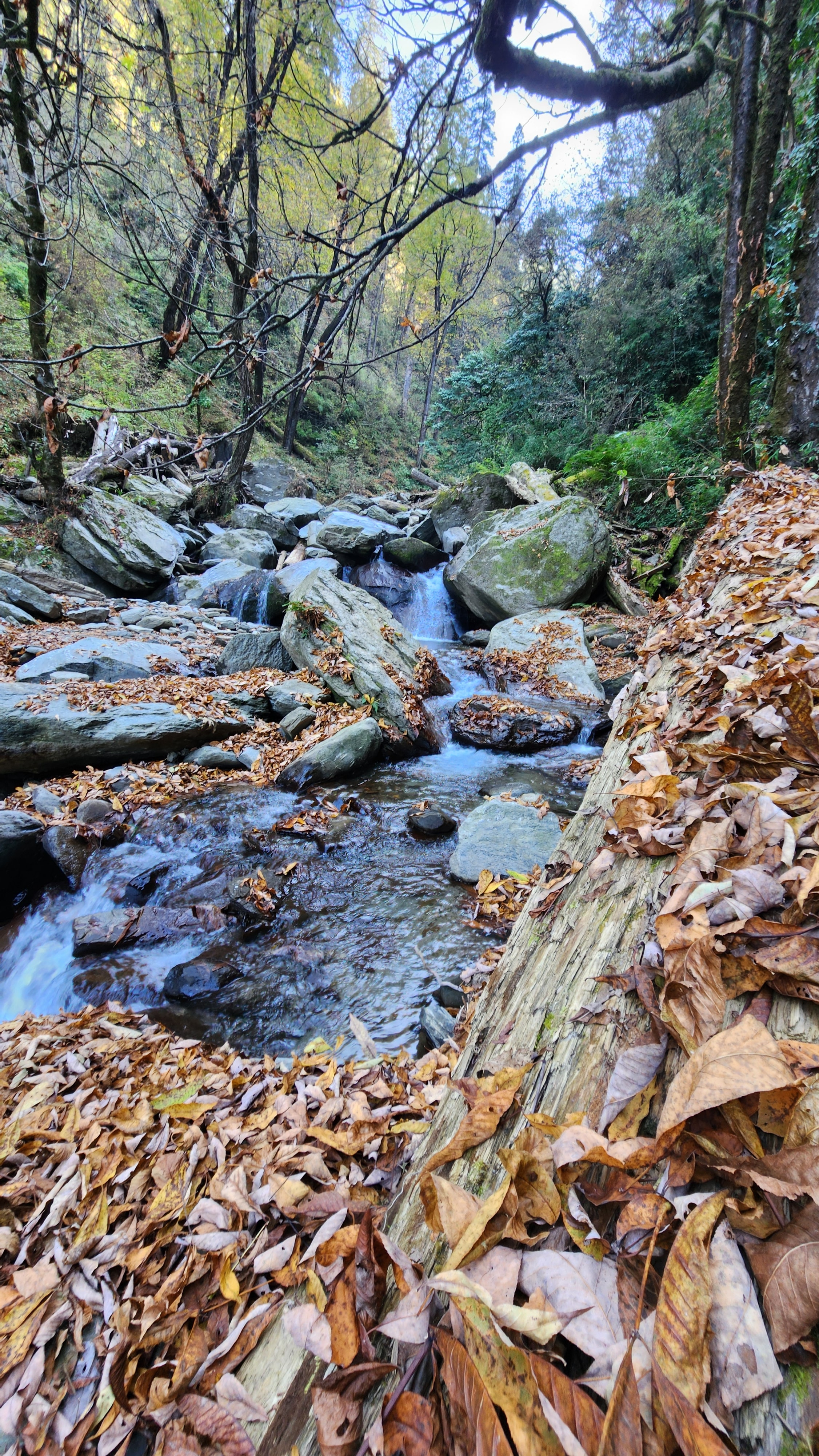 Jibhi in November - autumn season in Jibhi Valley