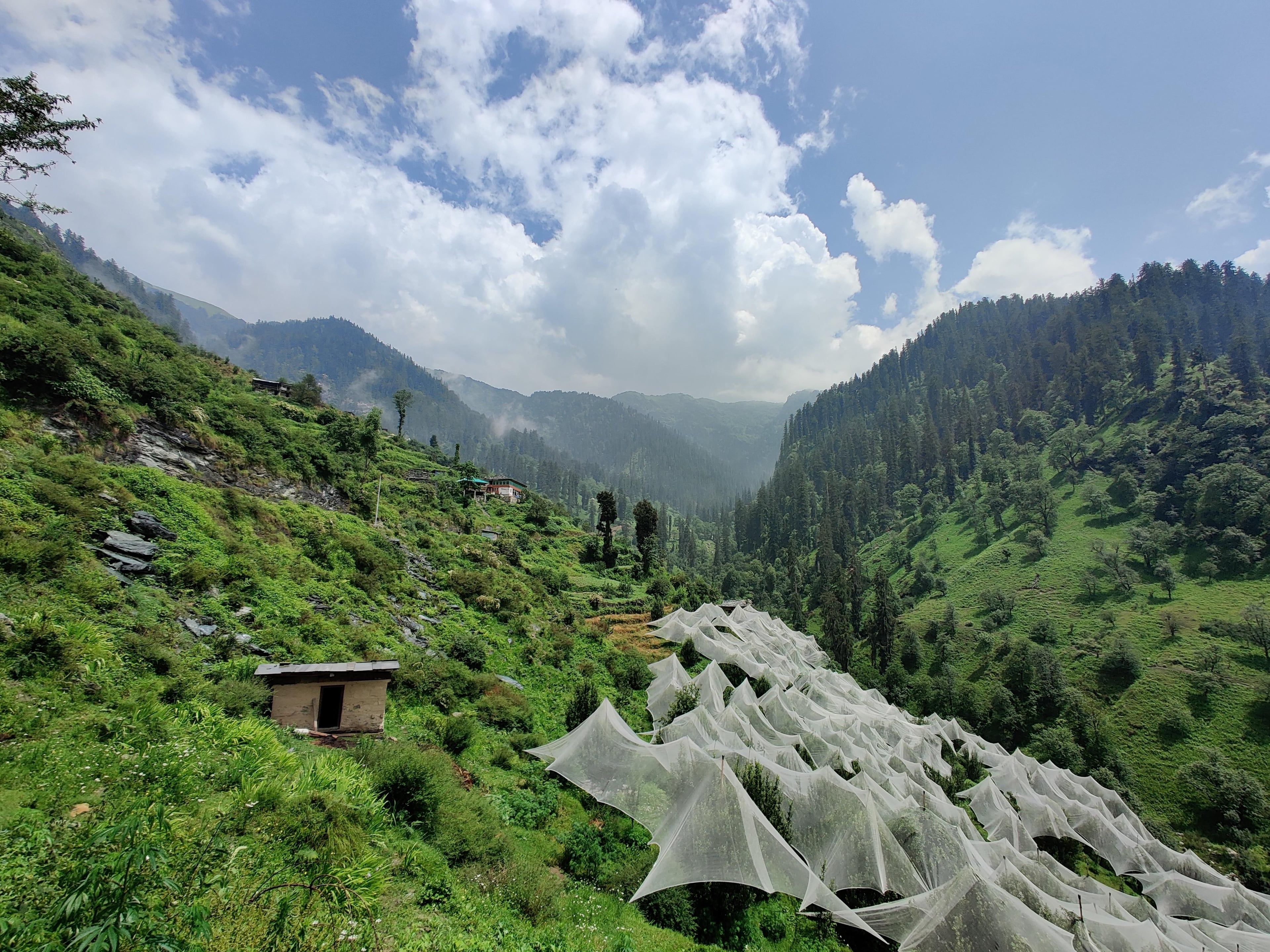 Jibhi Waterfall in July - Must visit places in Jibhi