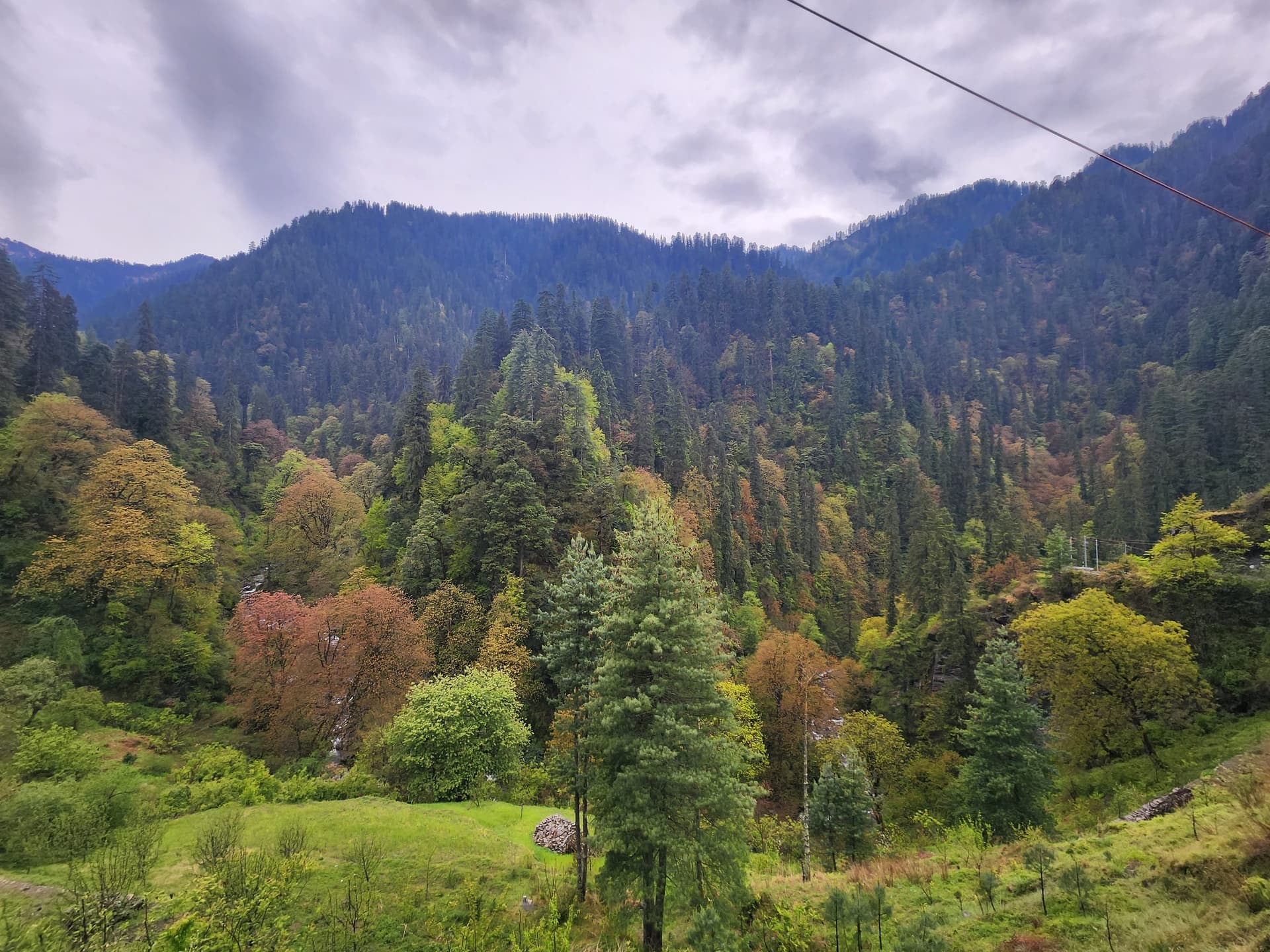 A picturesque valley scene in Shoja, Himachal Pradesh, India, featuring lush green trees and a cloudy sky.