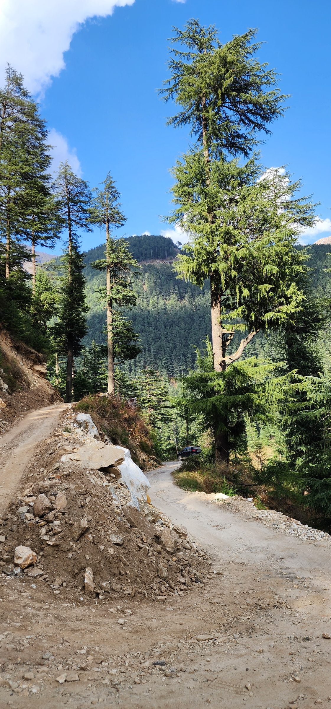 A narrow unpaved mountain road above Jibhi with fresh landslide debris piled along the cut slope