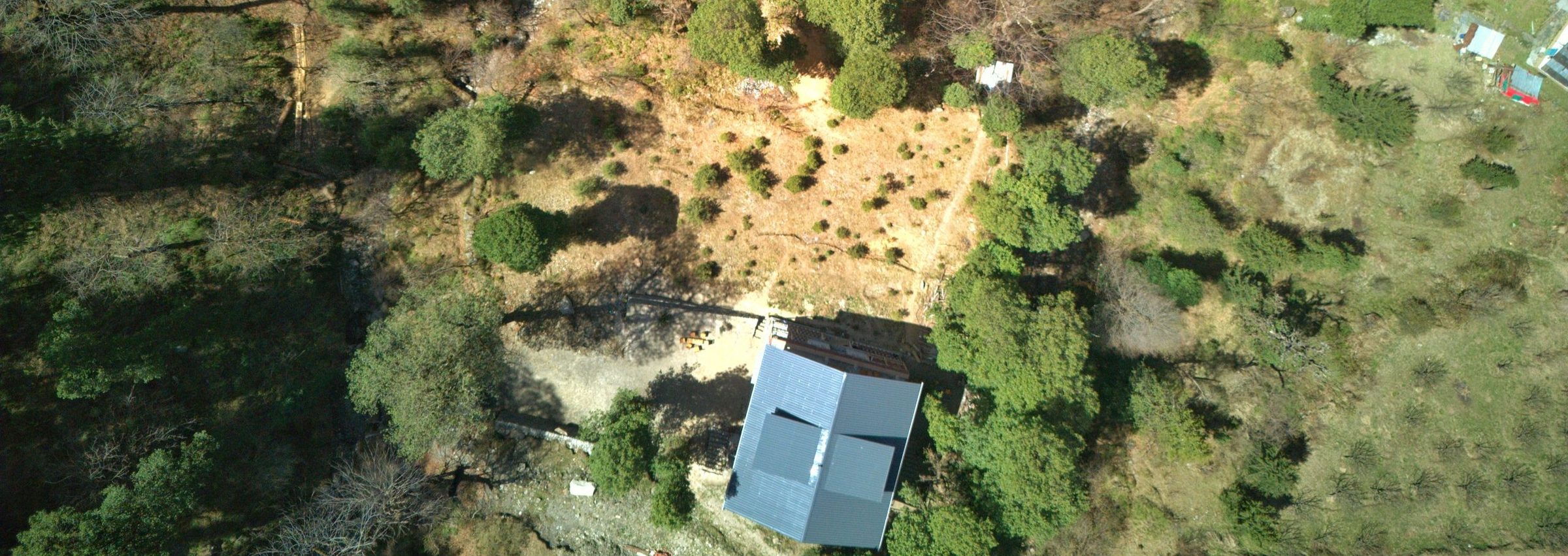 50ac6fc88d-ailyak-shoja-forest-scaled.jpg